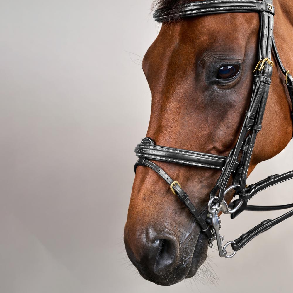 Kandare mit kombiniertem Reithalfter DY | Dy'on