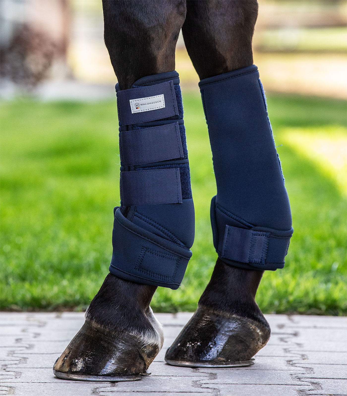 Fetlock boots Protect