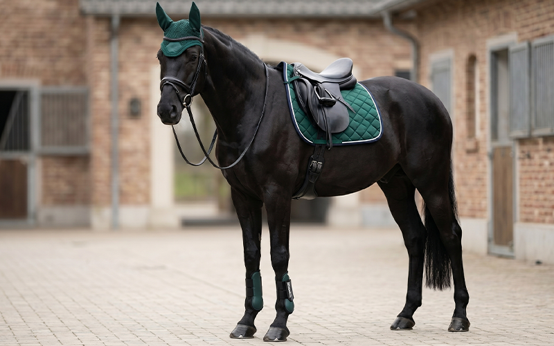 Rappe Racing Green Outfit