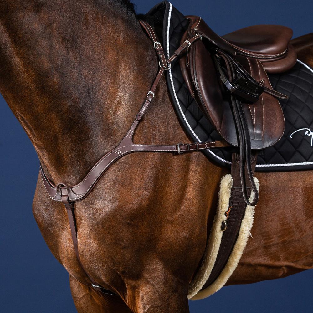 Anatomisches Vorderzeug