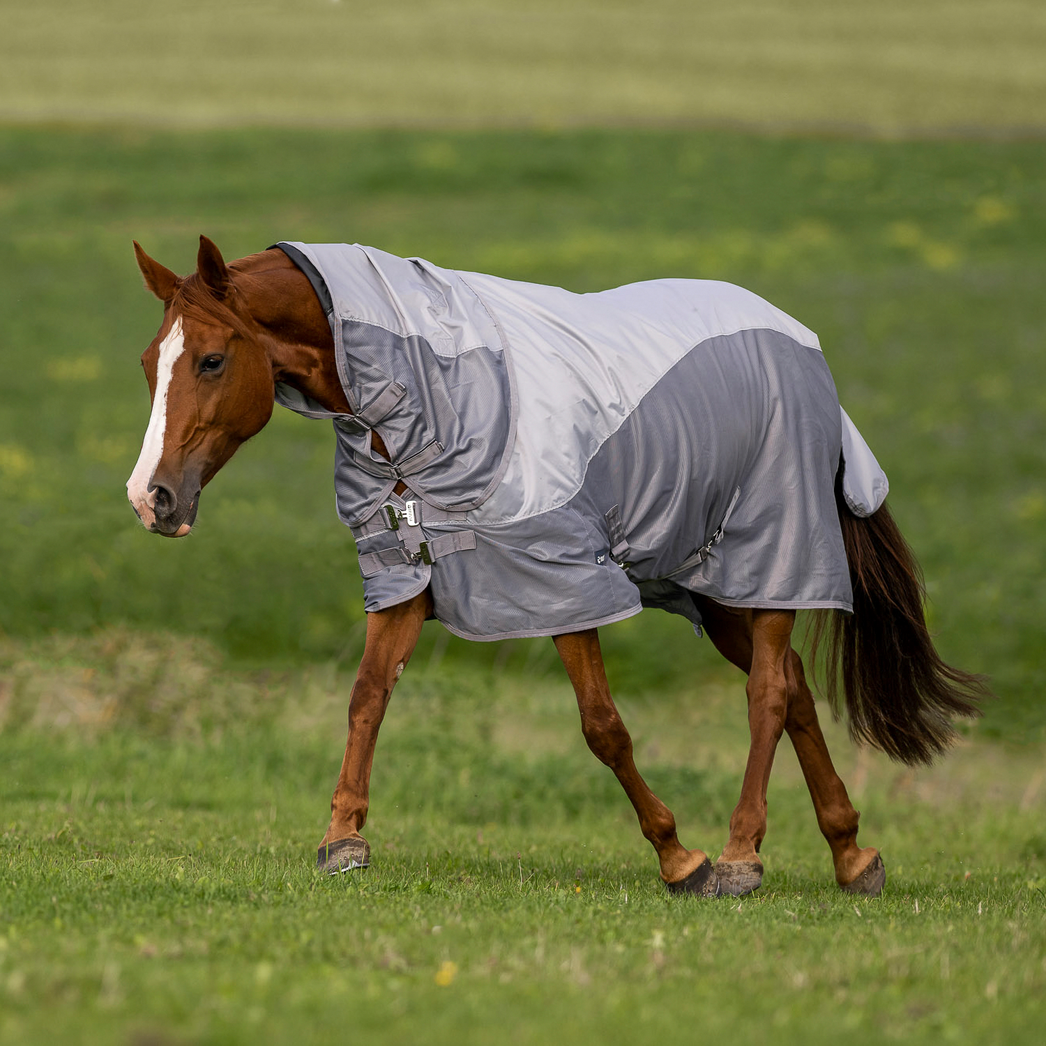 RainFly outdoor blanket