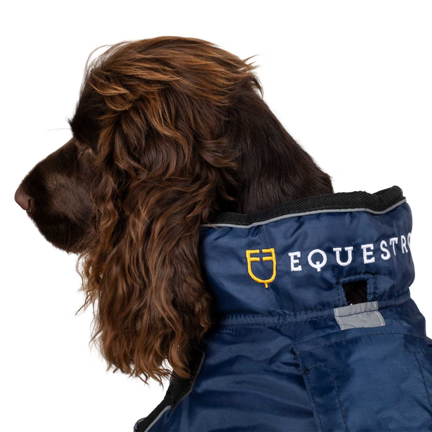 Hundedecke mit reflektierender Paspelierung