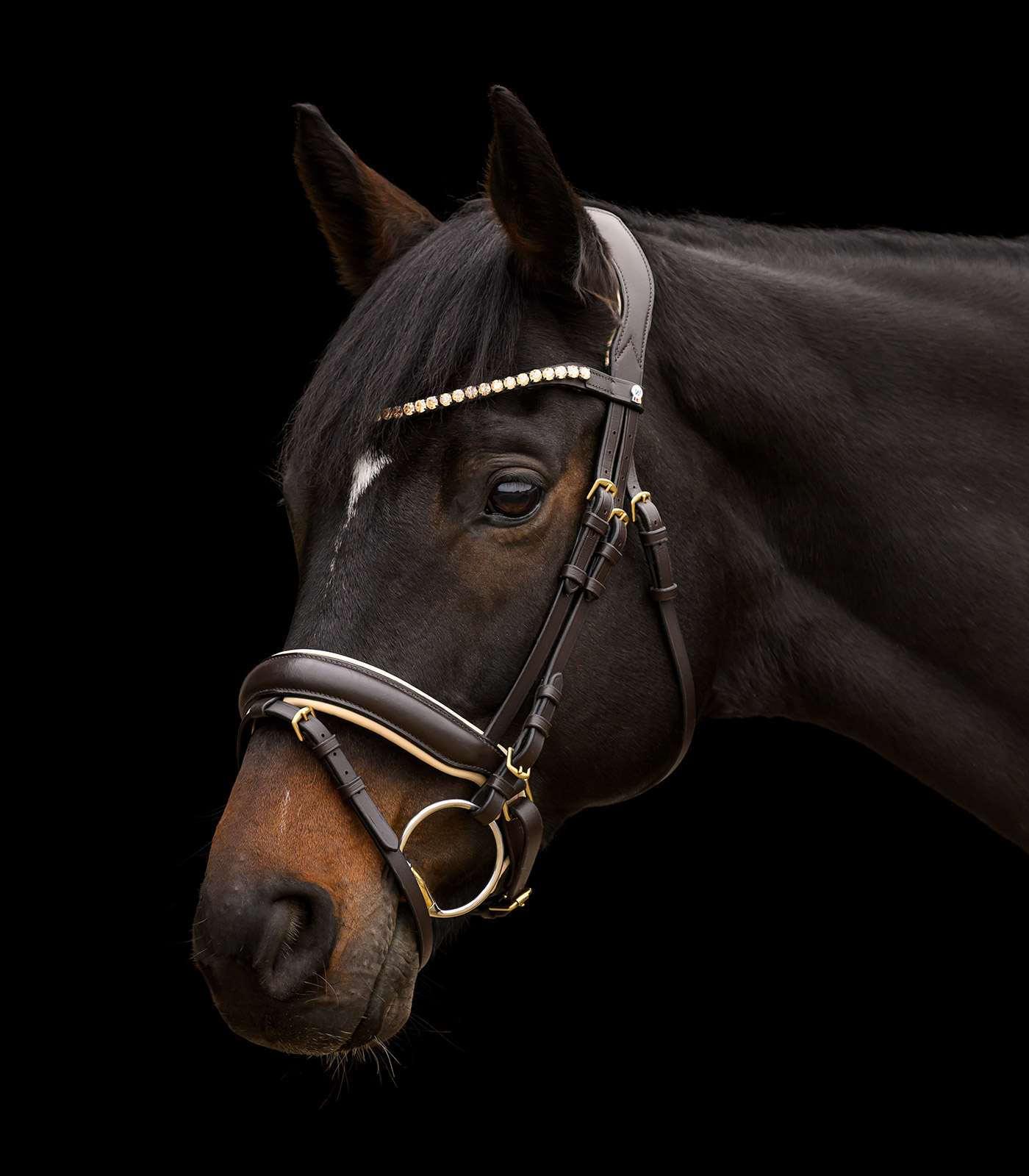 Trensenzaum X-Line Ivory, schwed.komb.