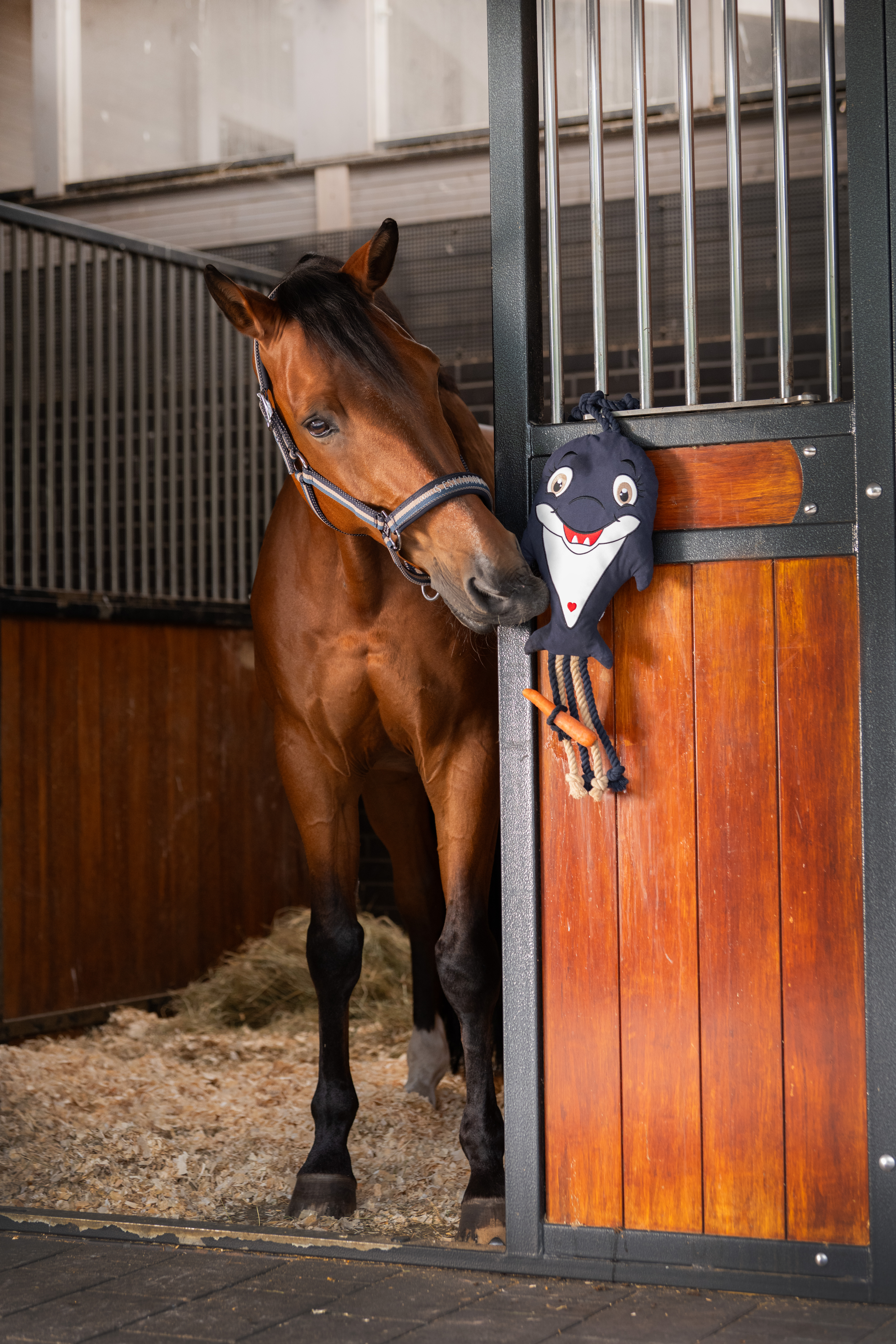 Halfter Classic Sports Double Pin