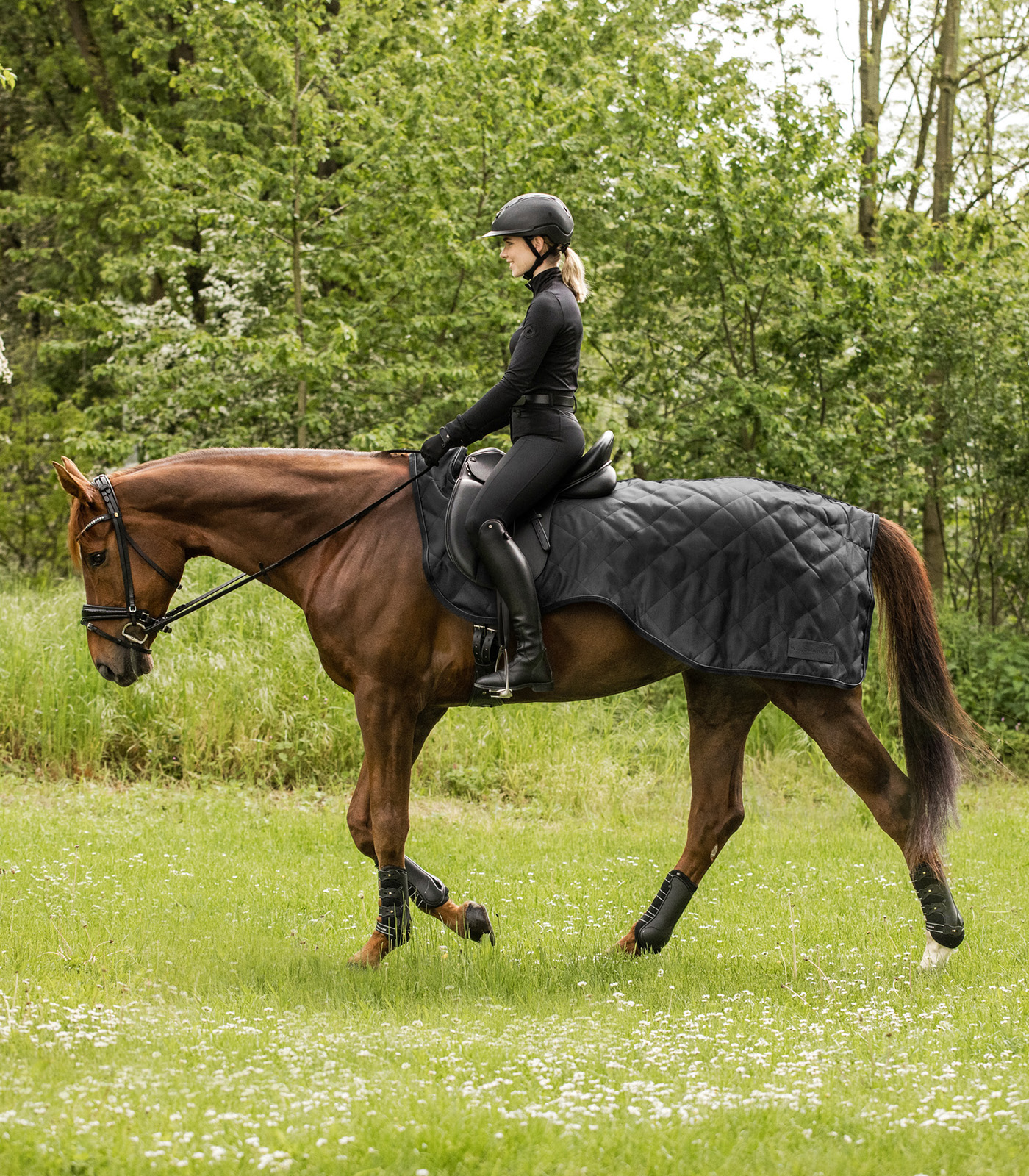 Nierendecke Exclusive