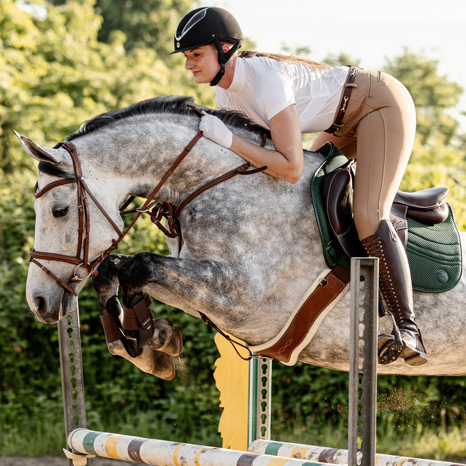 Sattelgurt Take-Off Line LG