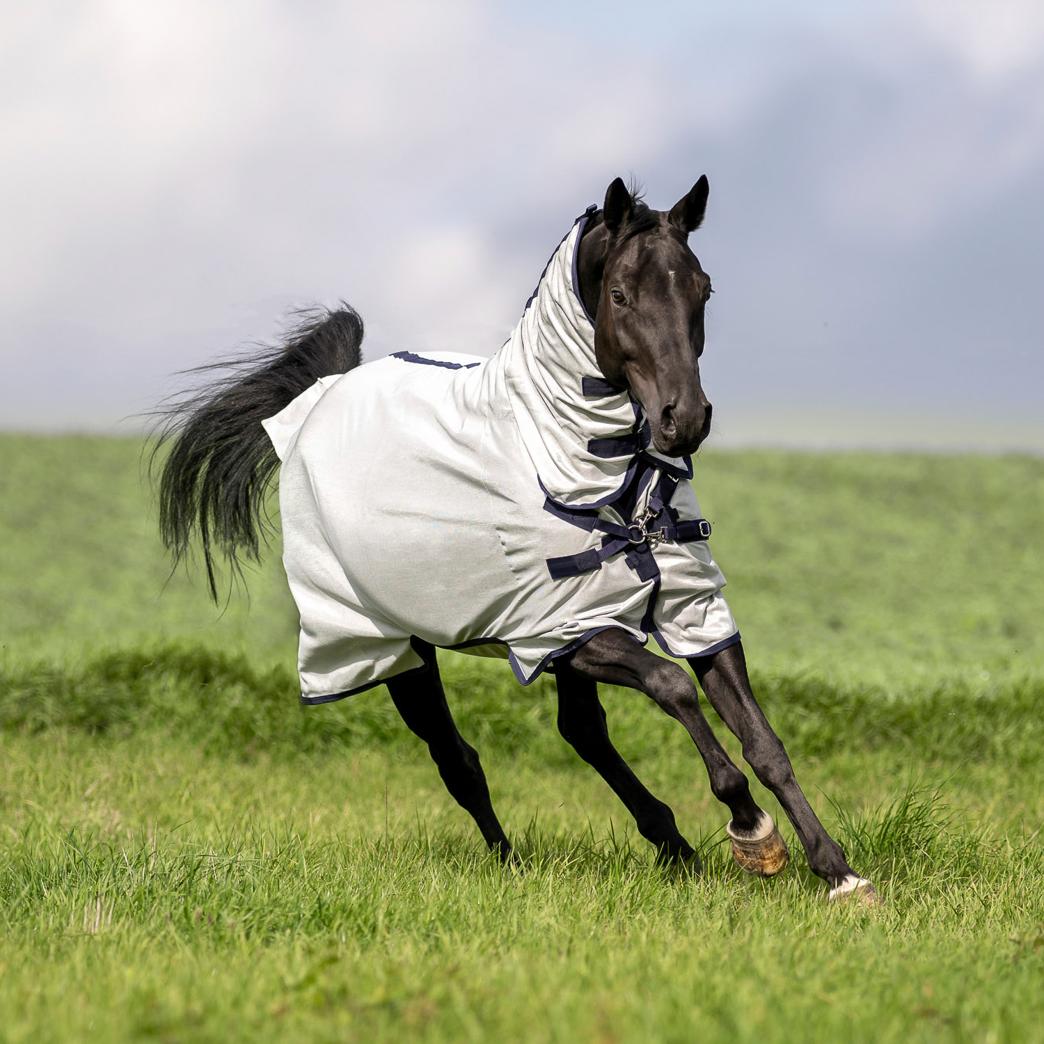 Outdoor fly rug Superb