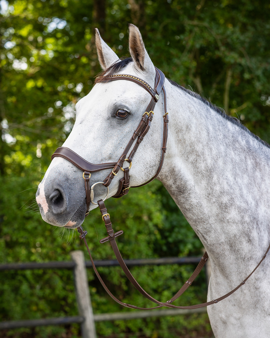 Snaffle Devi