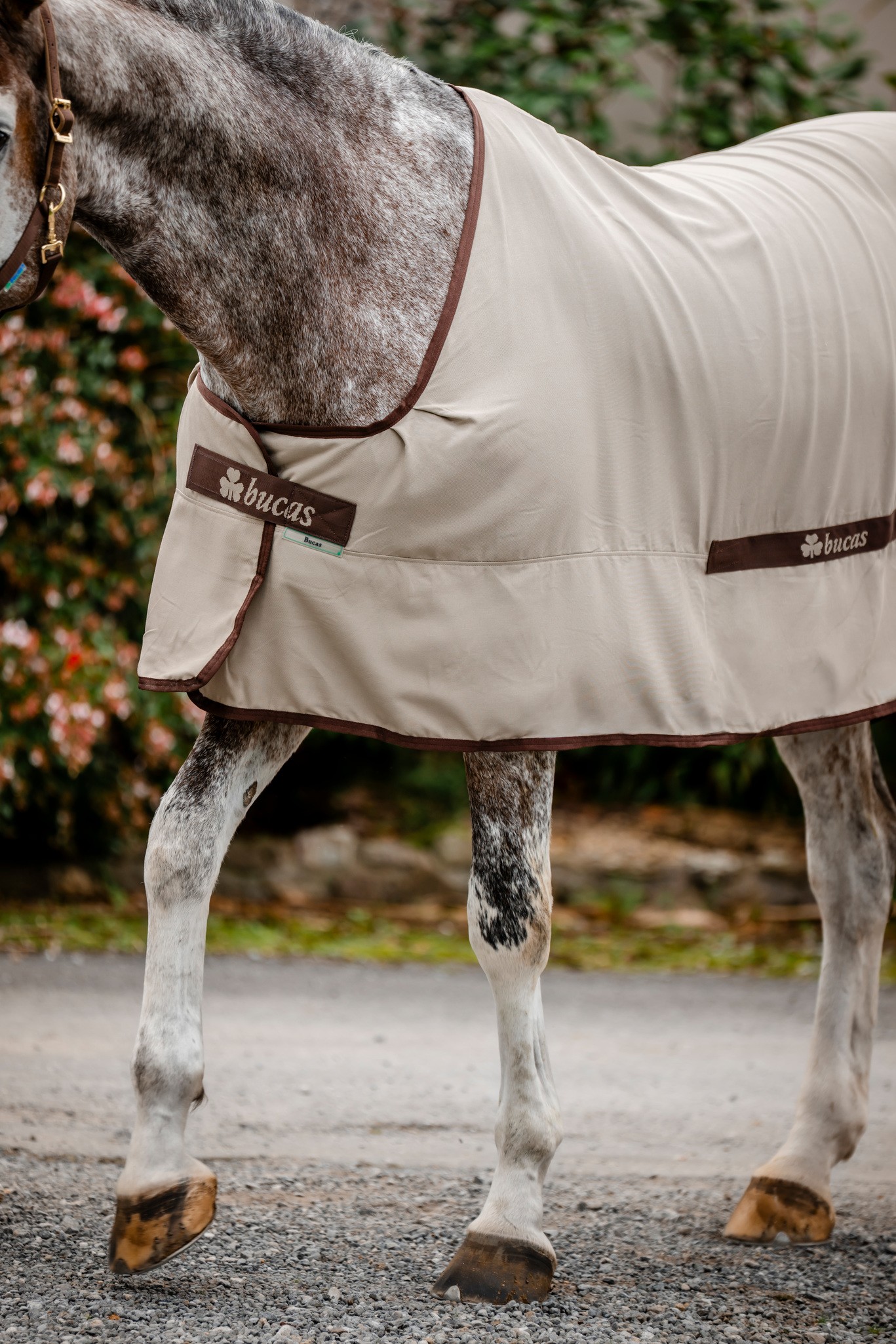 Stalldecke Cool Sheet Linen in Beige/Coffee