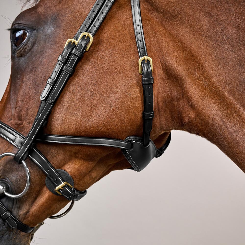 Difference Trense DY DY | Dy'on