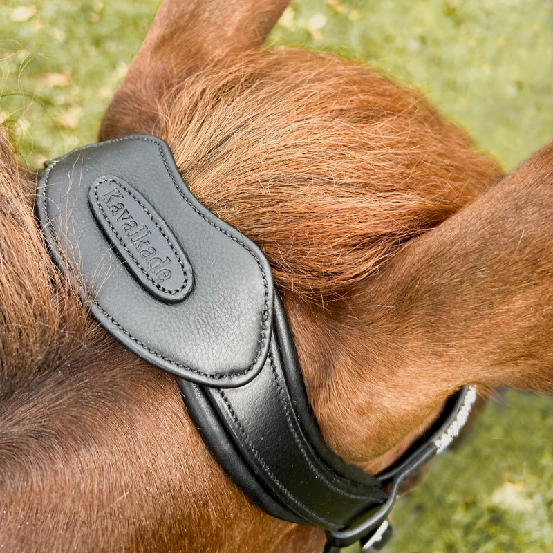 Genickstück Cre8 "Malou" - offen mit Brücke