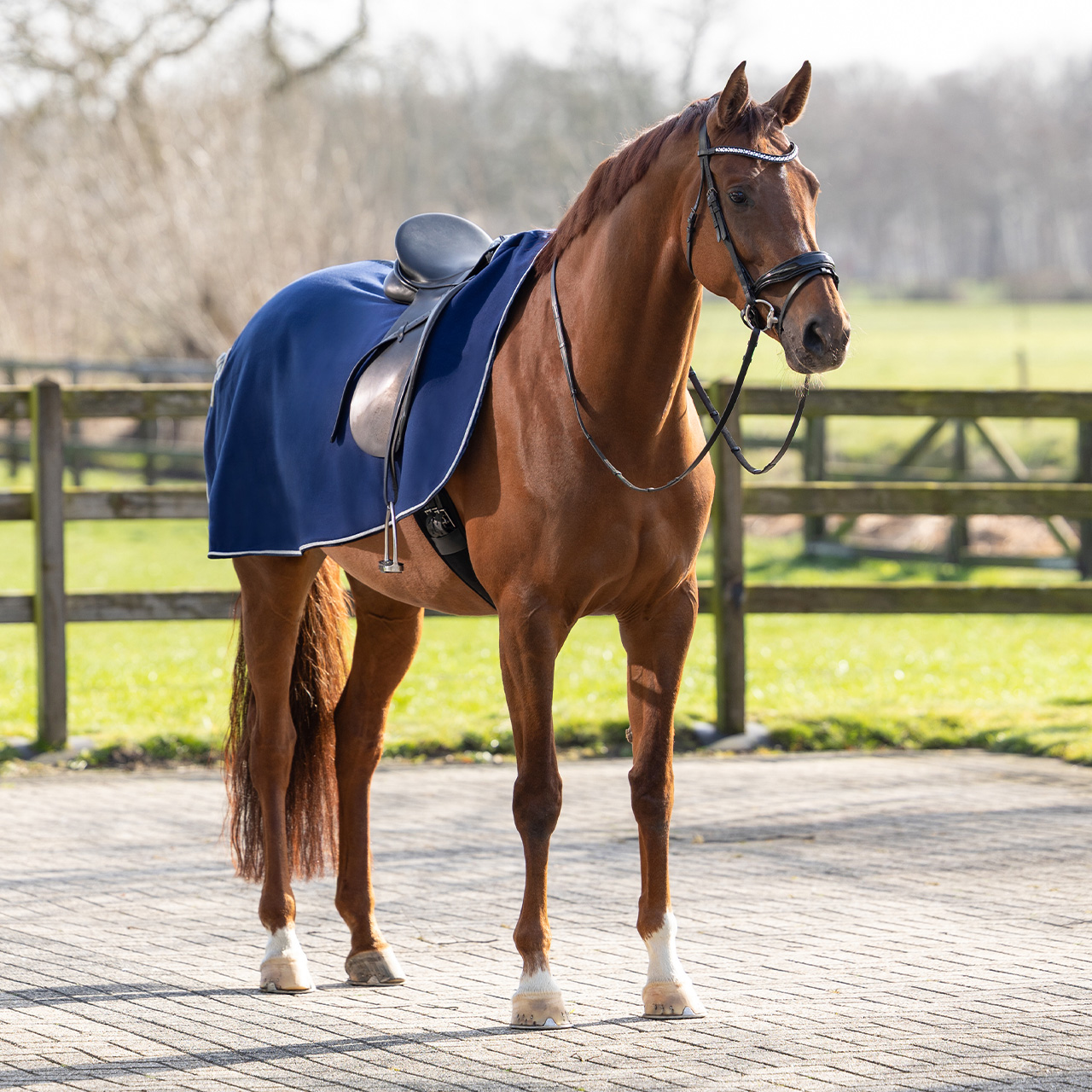 Riding rug fleece with ornament