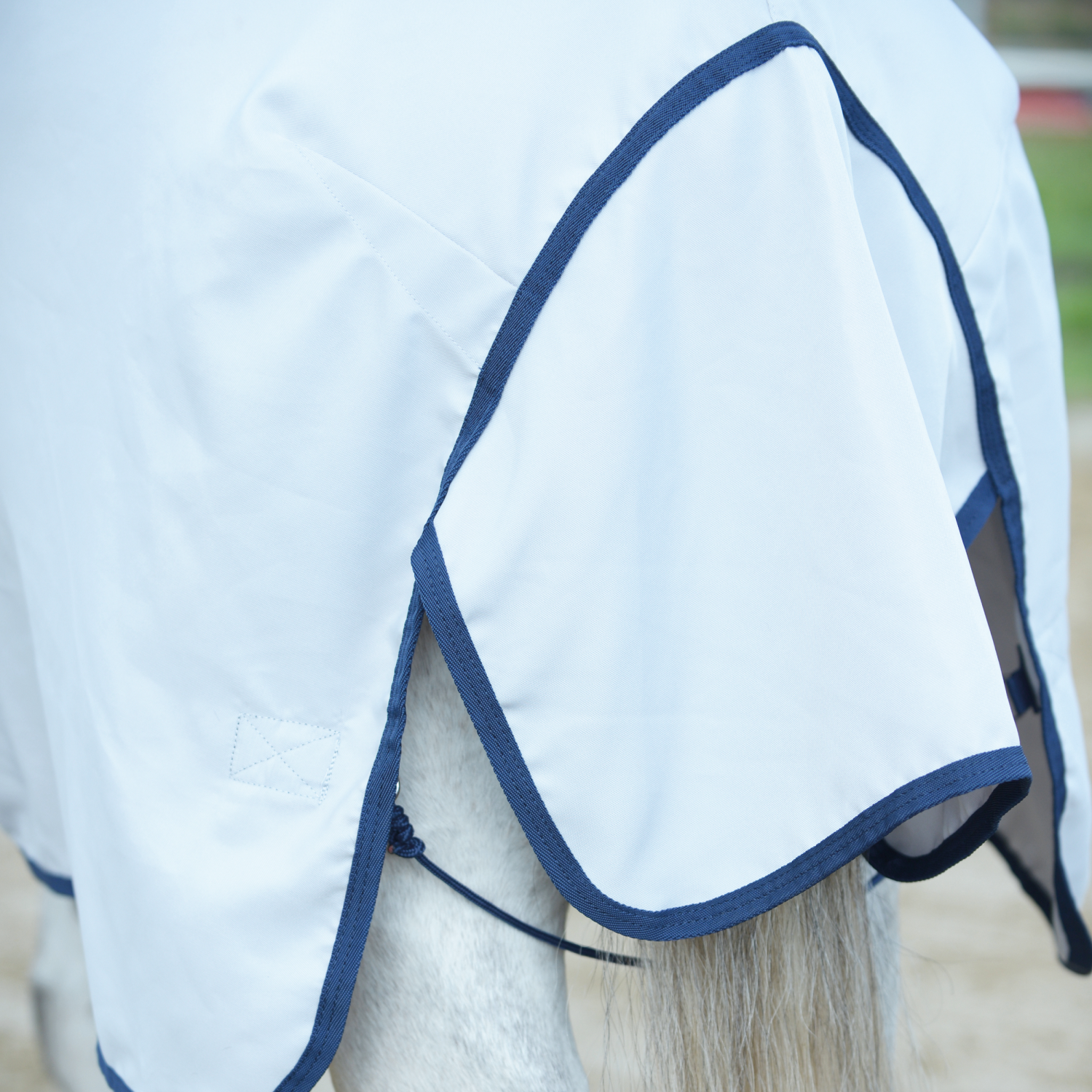 Sommerdecke Early Season