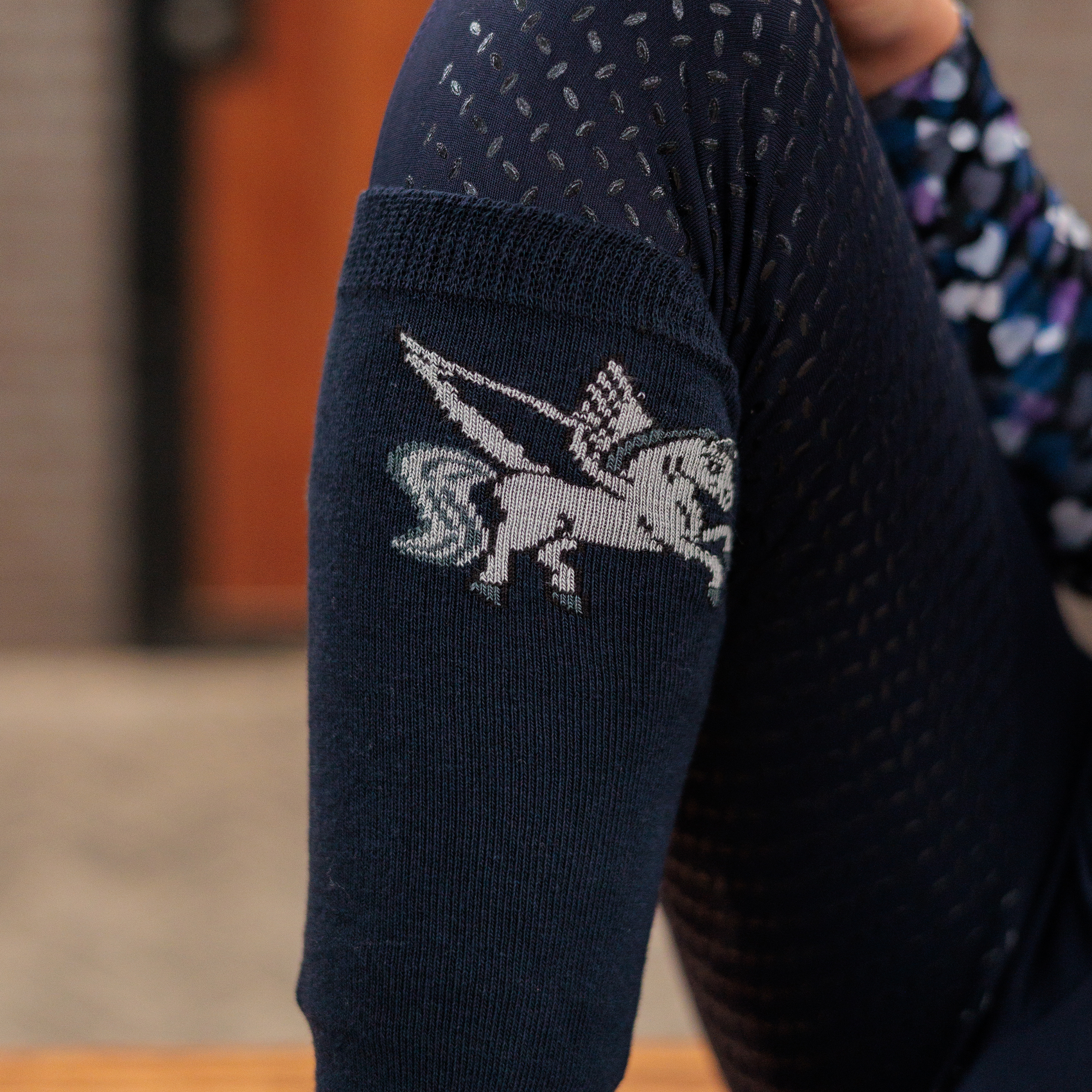 Socken Pegasus