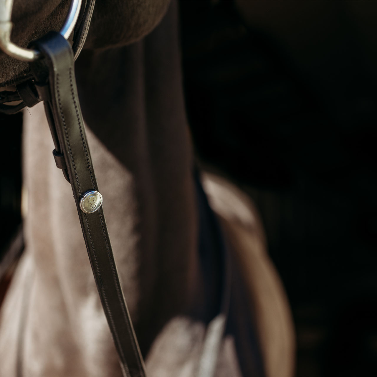 Reins FayRein