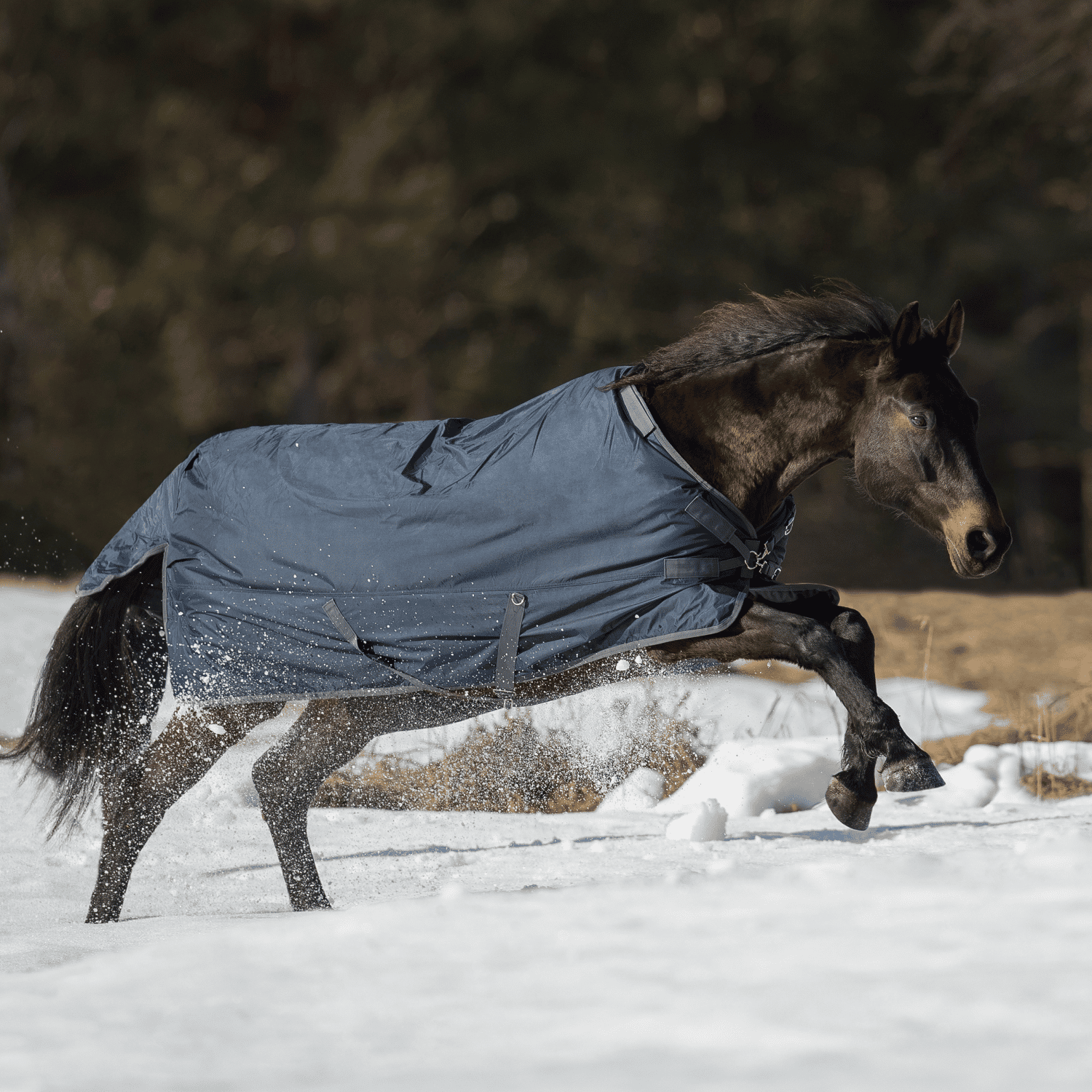 Outdoor blanket Flexible Pro 250 Outdoor blanket Flexible Pro 250