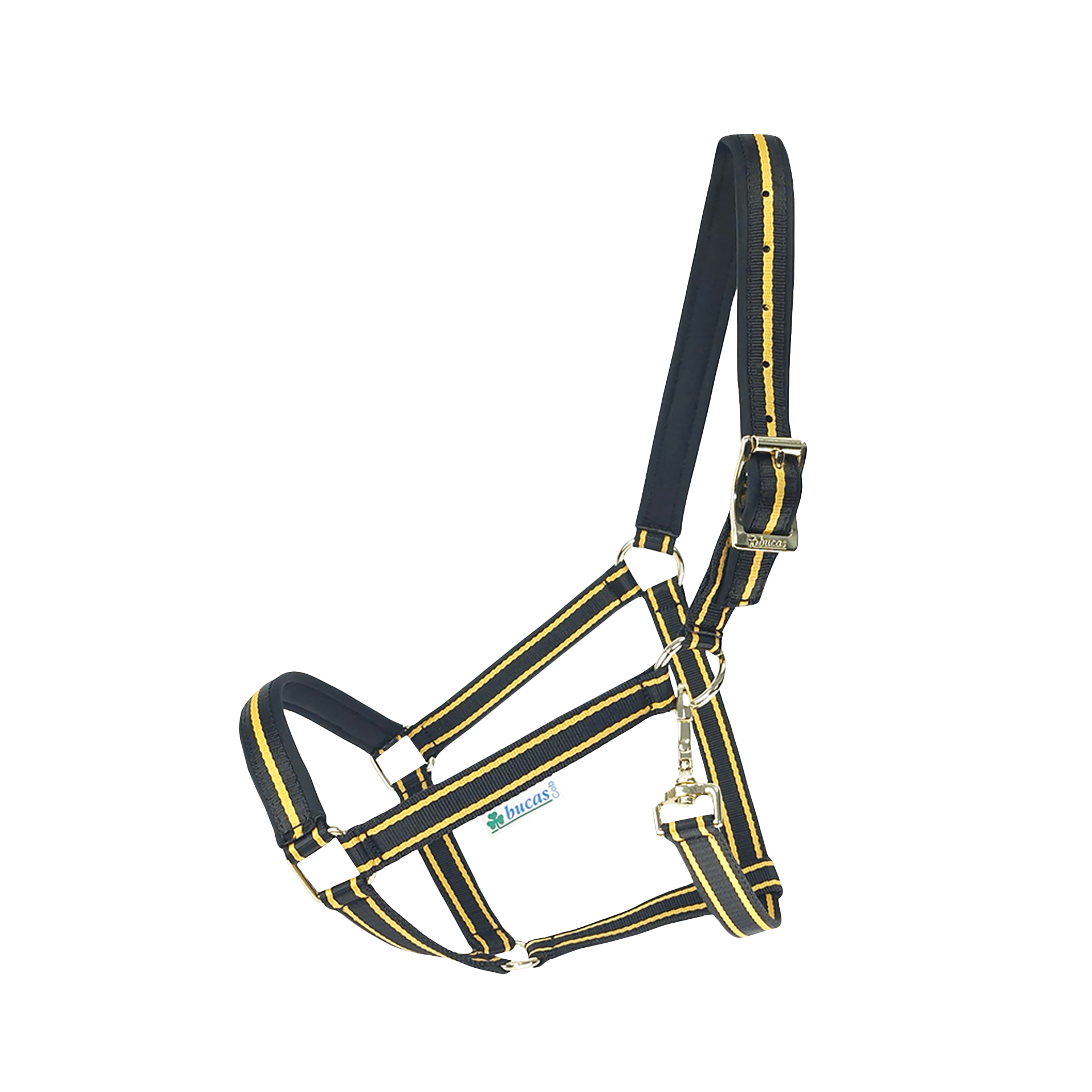 Halfter Dublin in Black/Gold