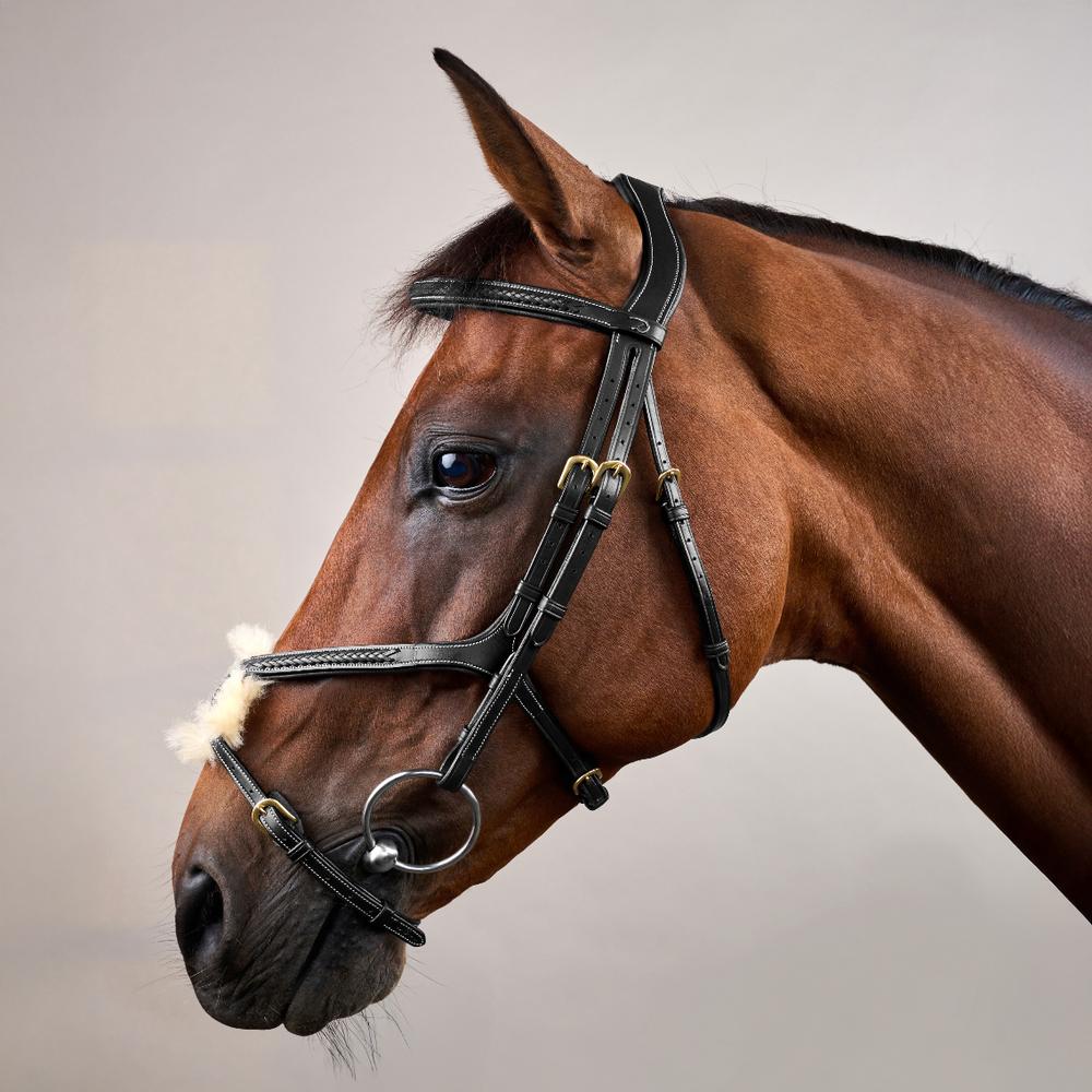 Trense mit geflochtenen mexikanischem Reithalfter DY |