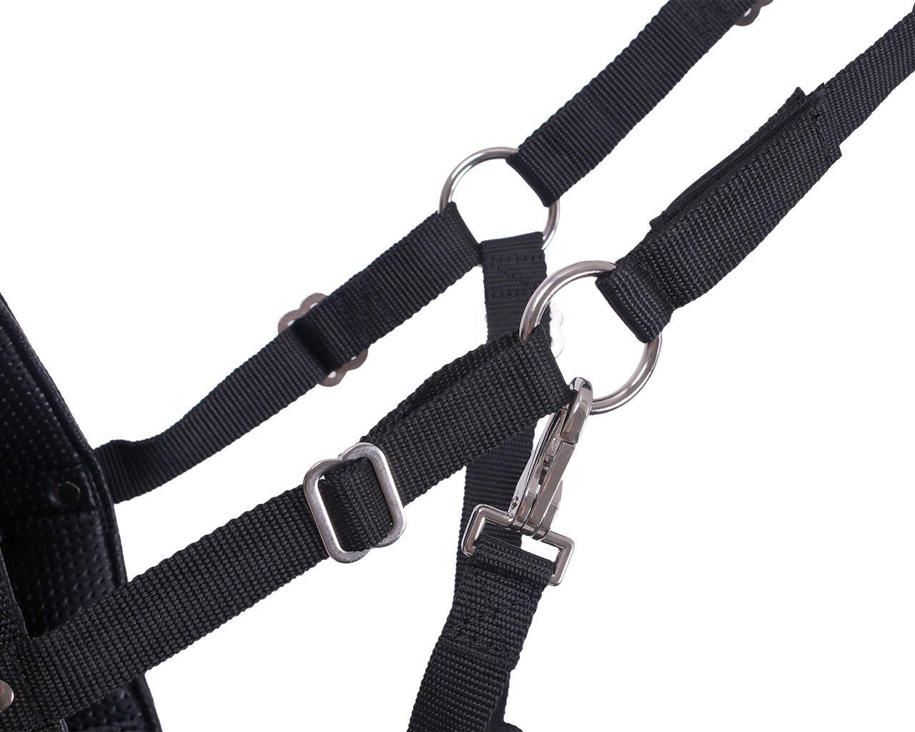 Fressbremse mit Nasenlöchern