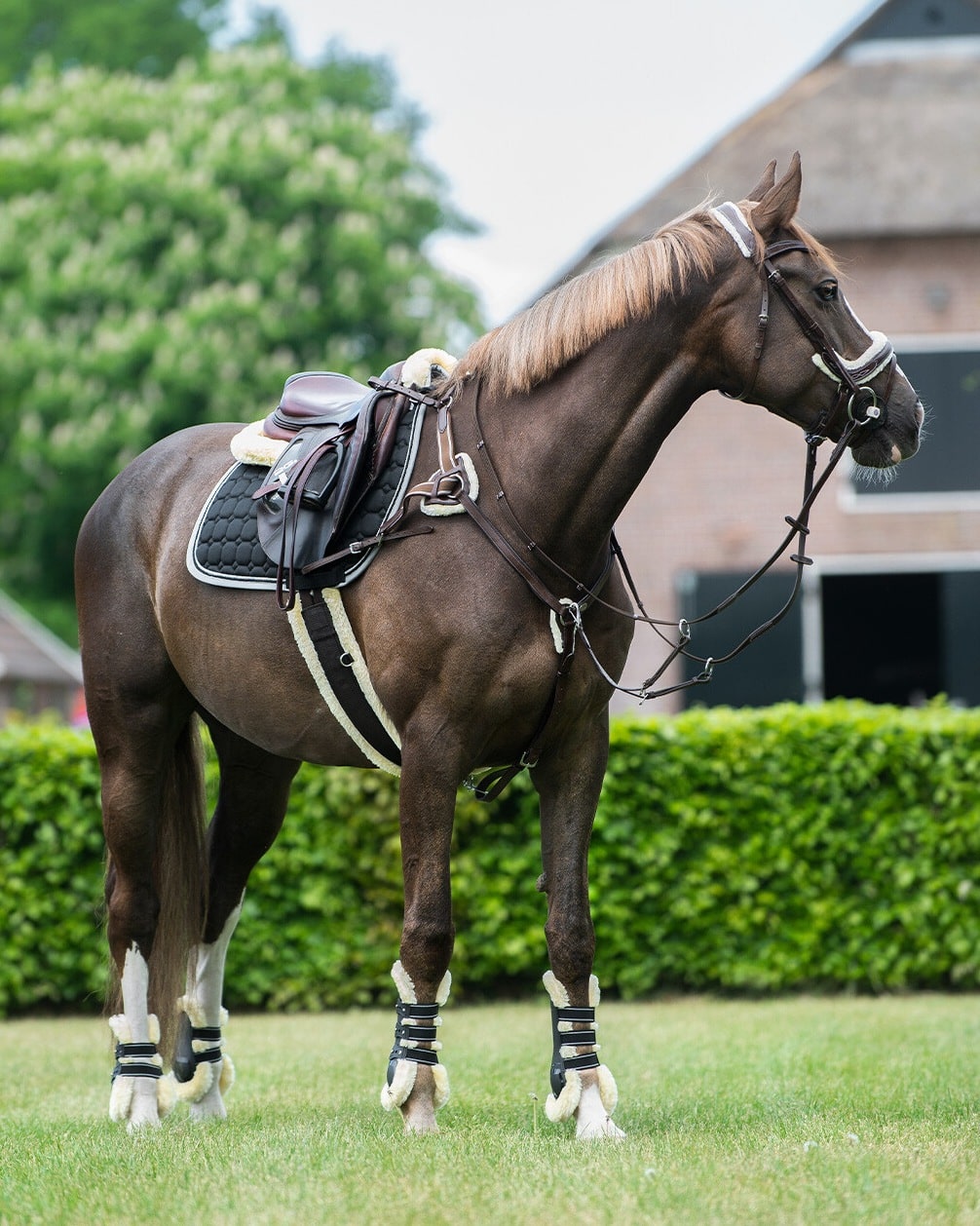 Ontario breastplate