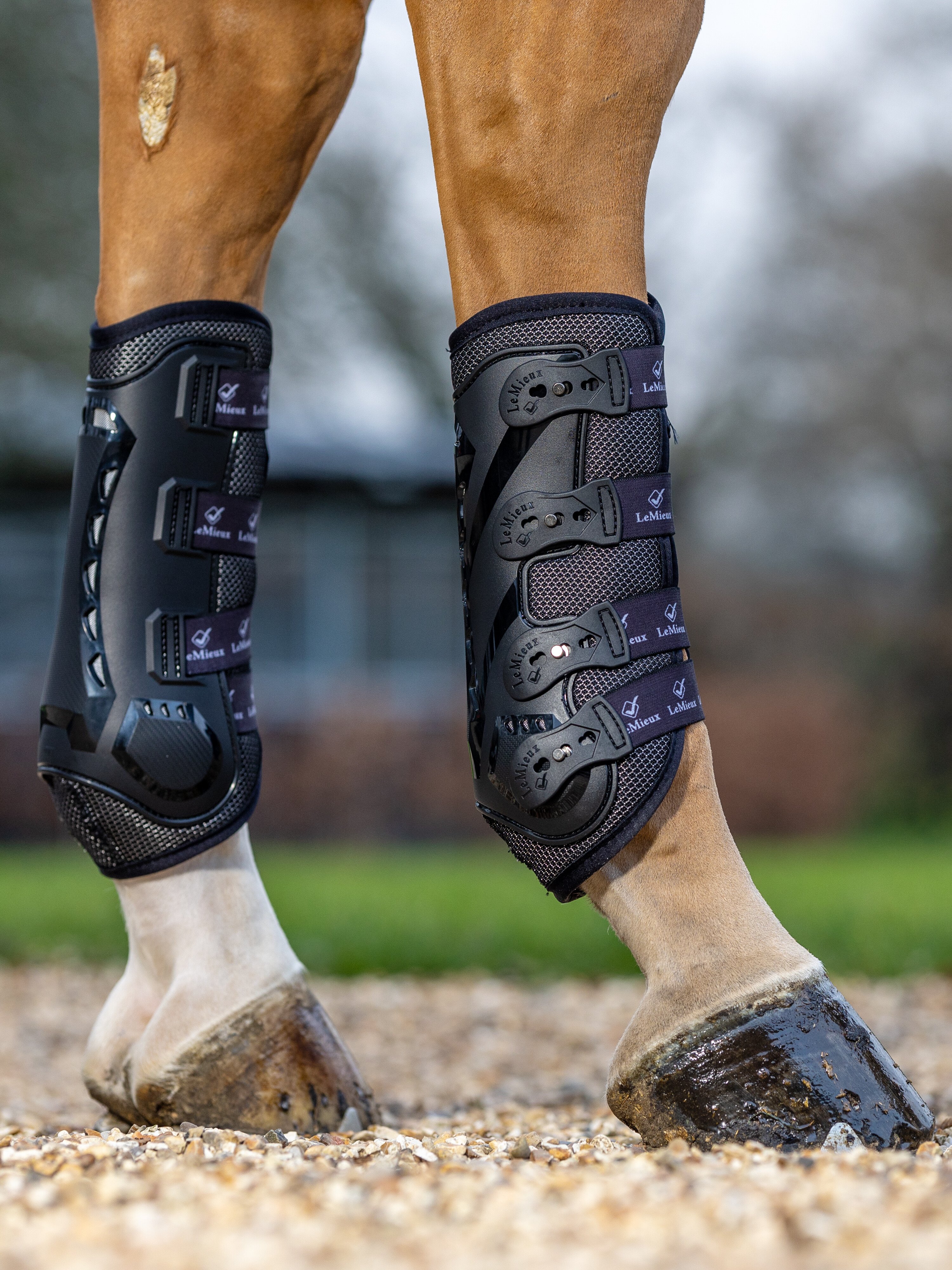 Rear gaiters Ultramesh in black