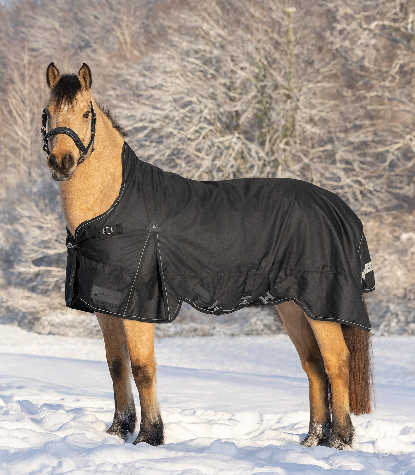 Outdoordecke Scandic, High Neck, 100 g