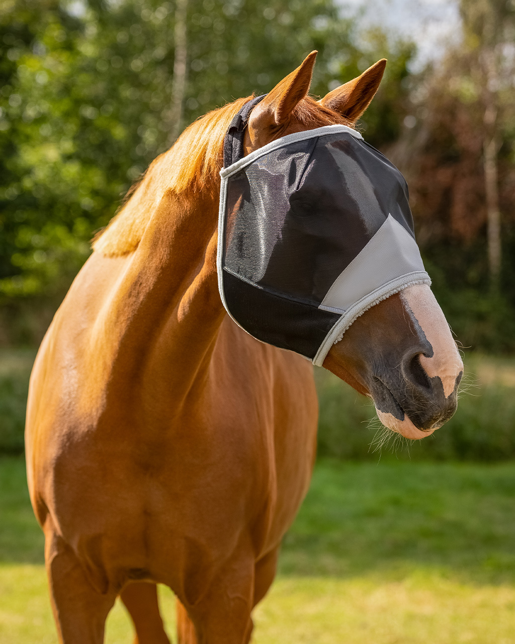 Fly mask Solaire without orhen
