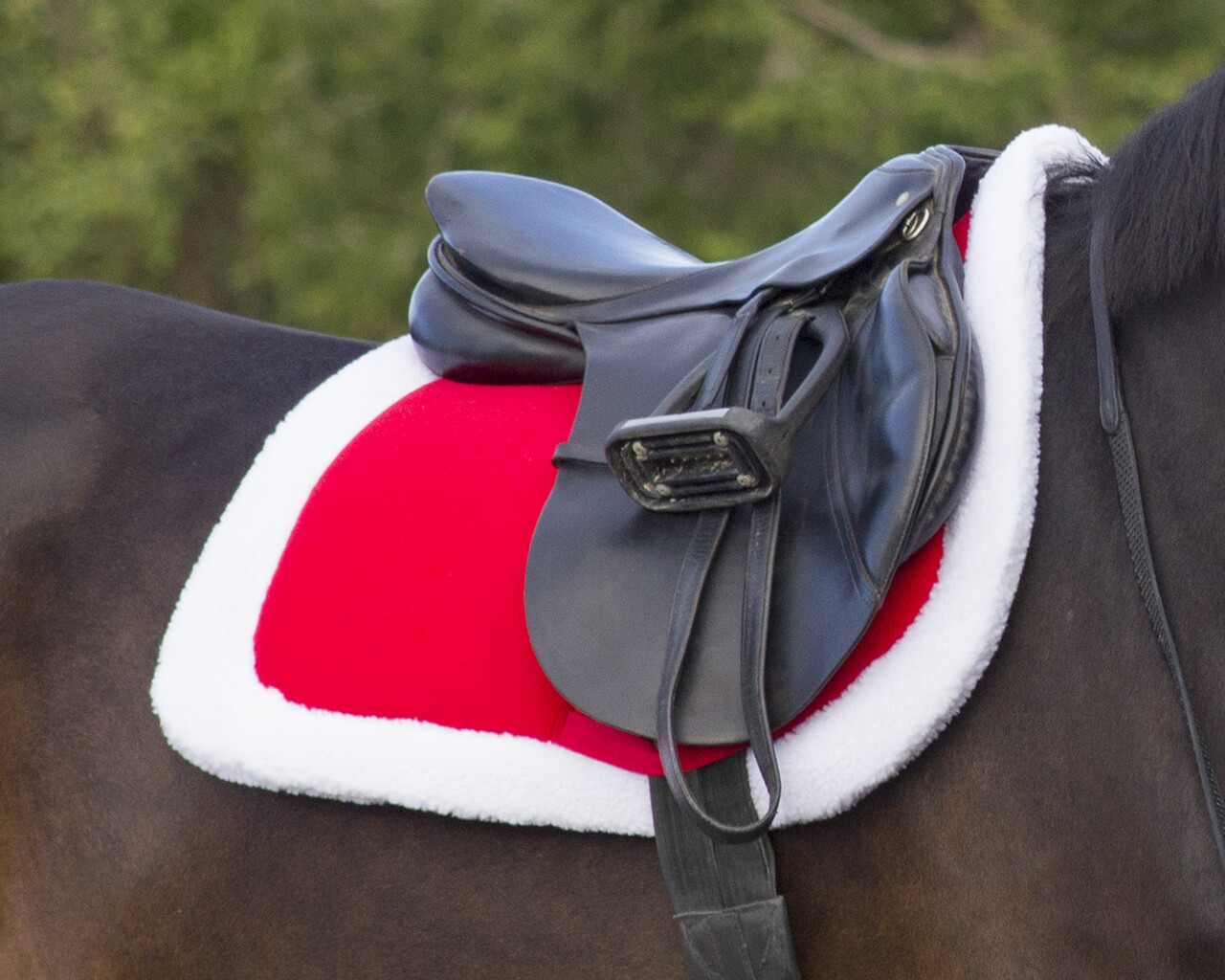 Saddle pad Christmas