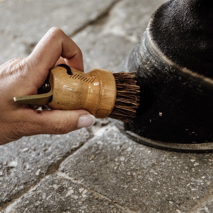 Hoof scraper small