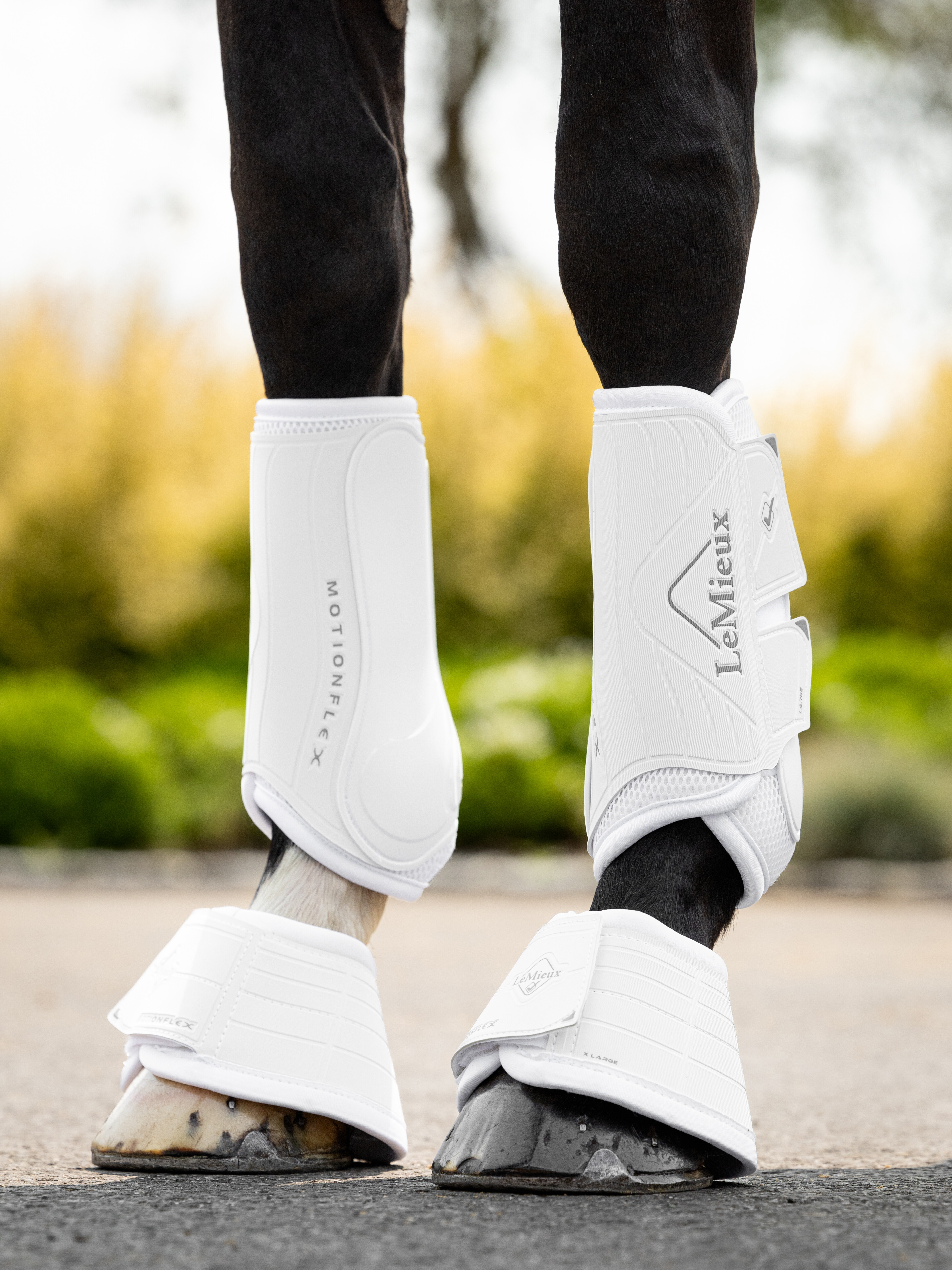 Motionflex dressage boots