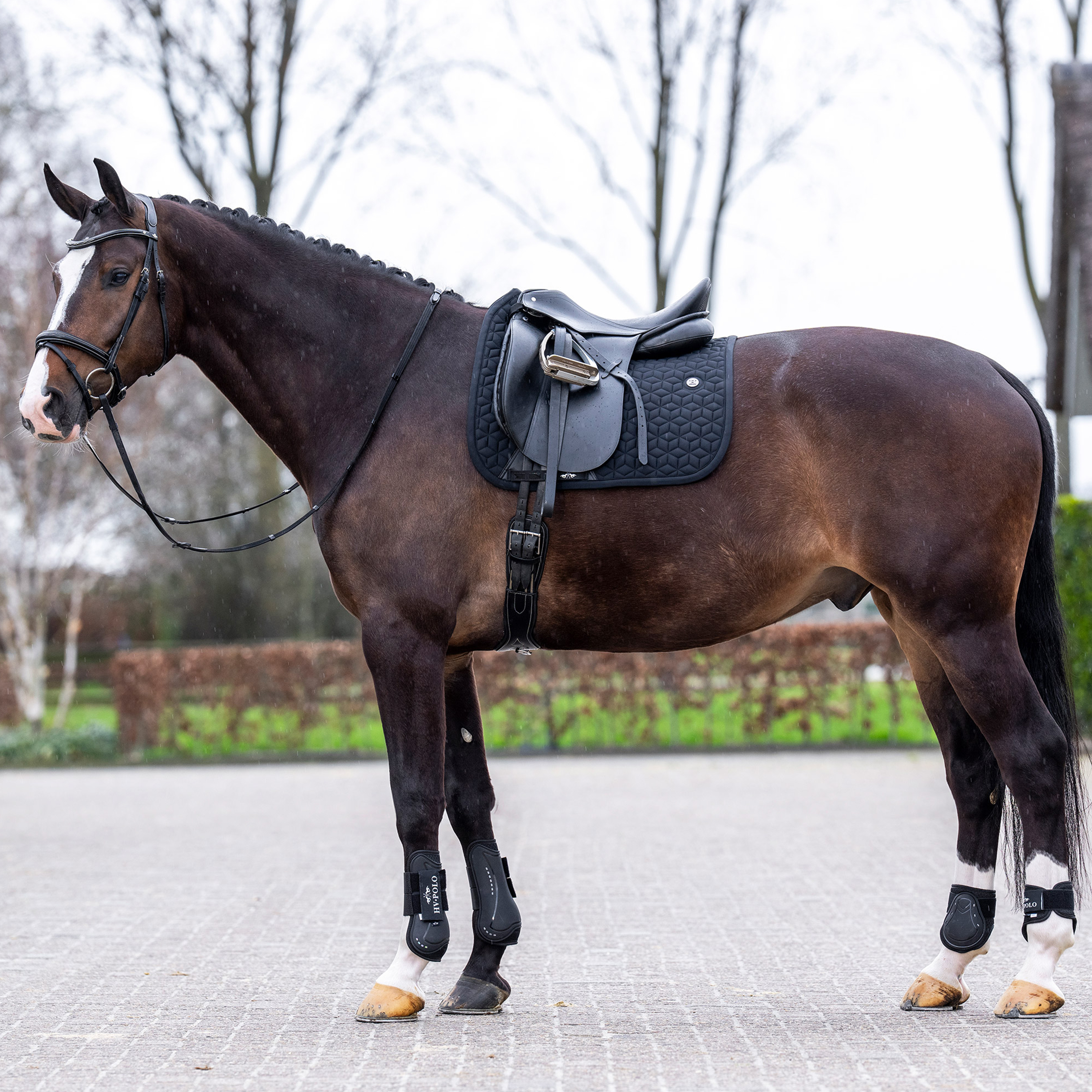 Schabracke Essential DR