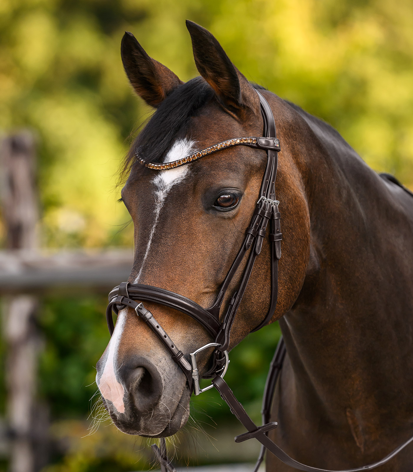 X-Line Browband Shine, brown