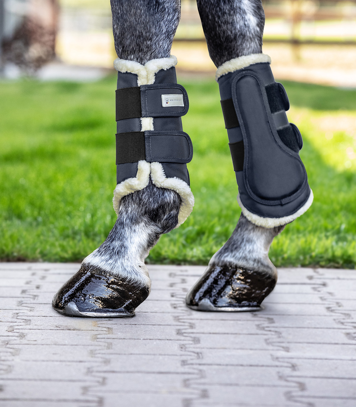 Dressurgamaschen Comfort