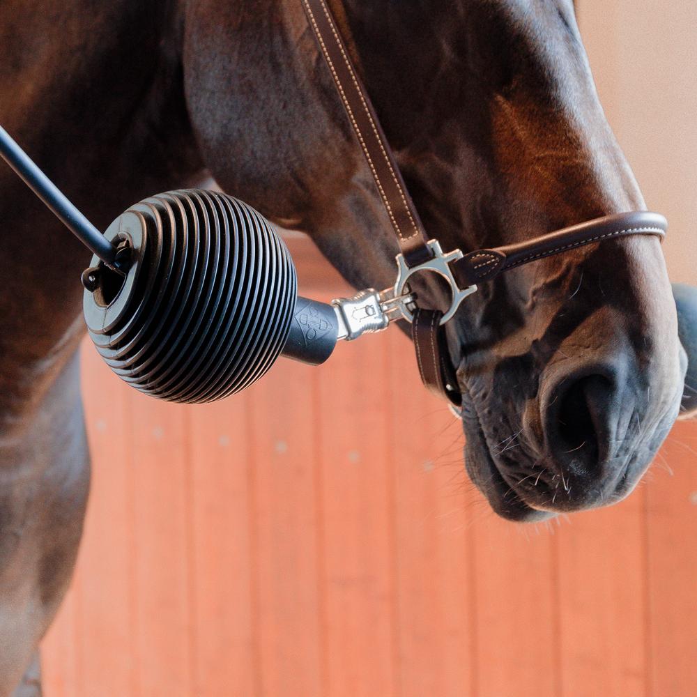 Balle caoutchouc Pro pour protection longe & mur