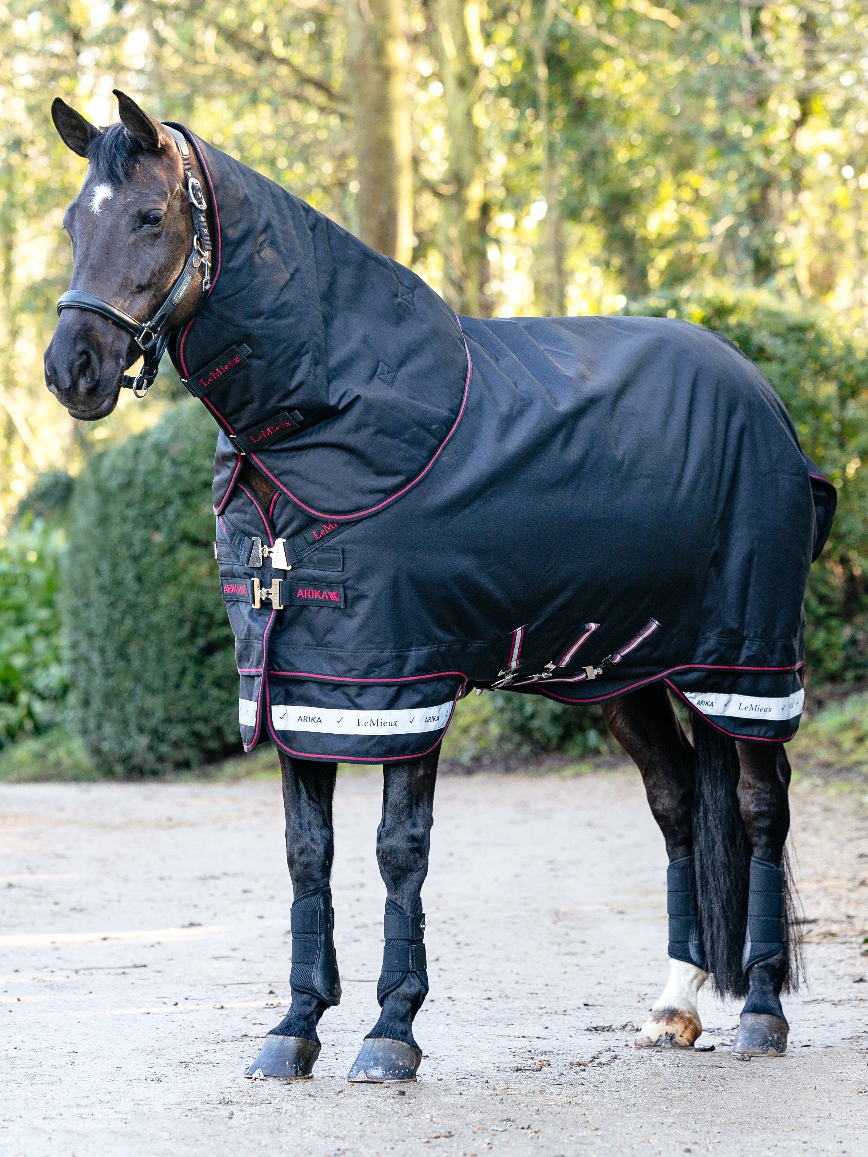 Arika Storm-Tek Weidedecke 100G