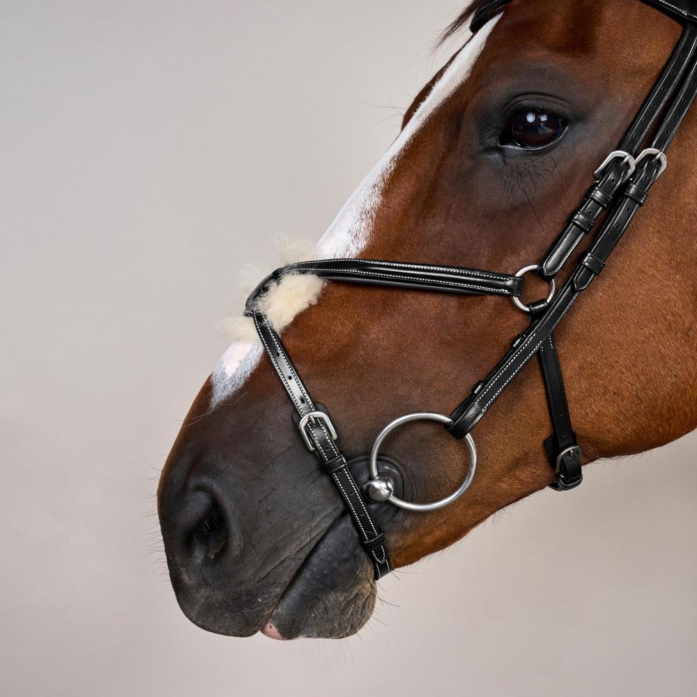 Trense mit mexikanischem Reithalfter WO