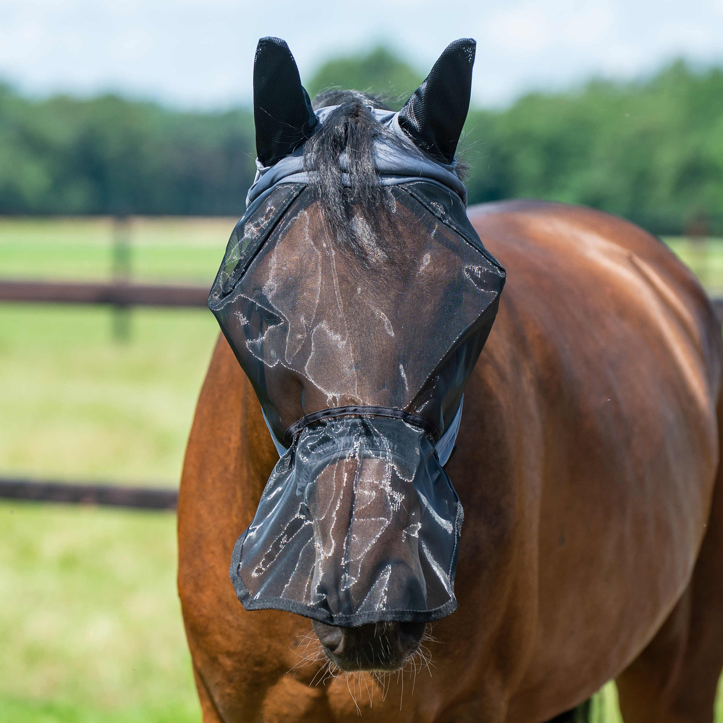 Masque anti-mouches Fly Buckler Gap Plus