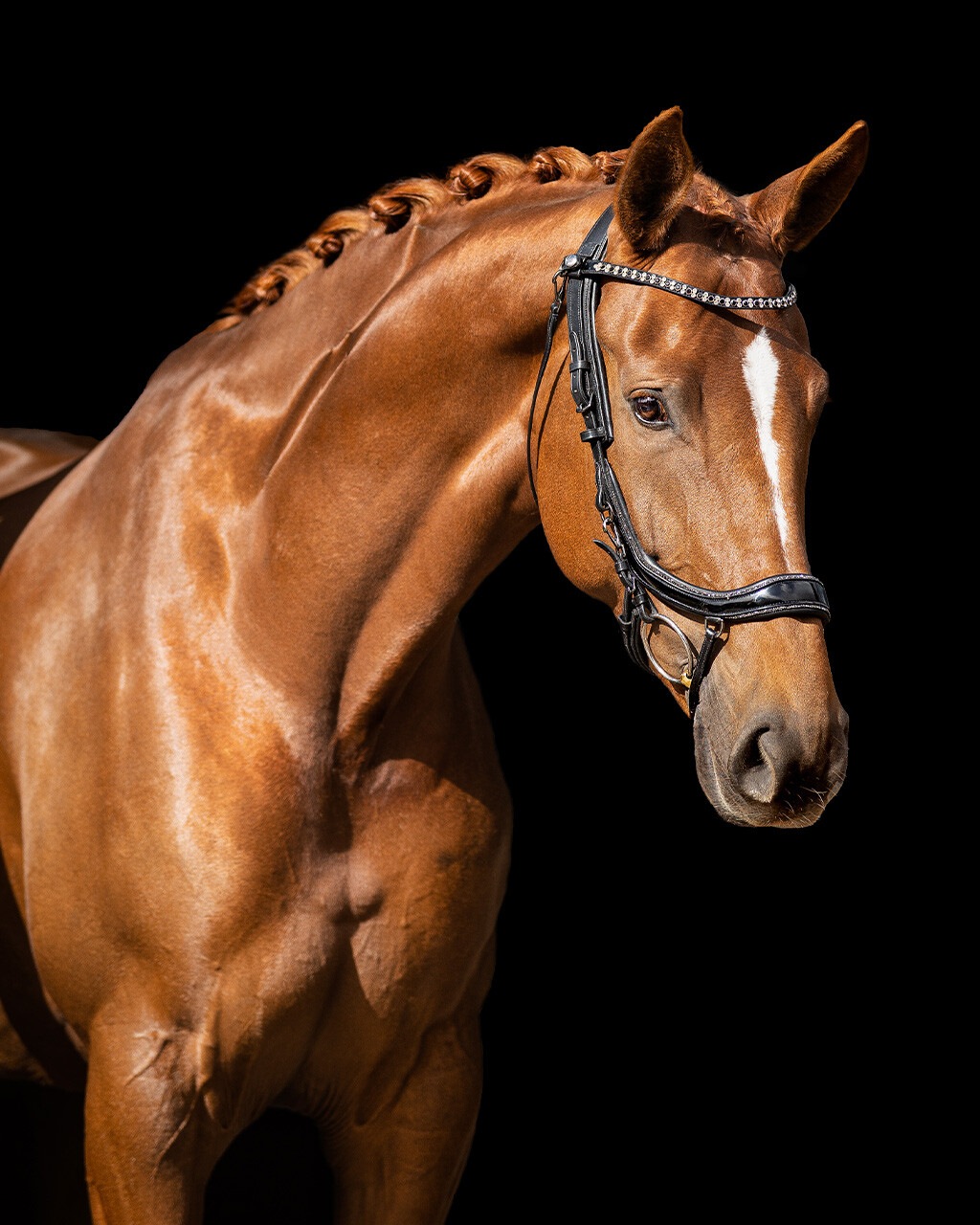 Snaffle FaySport Glitter in black