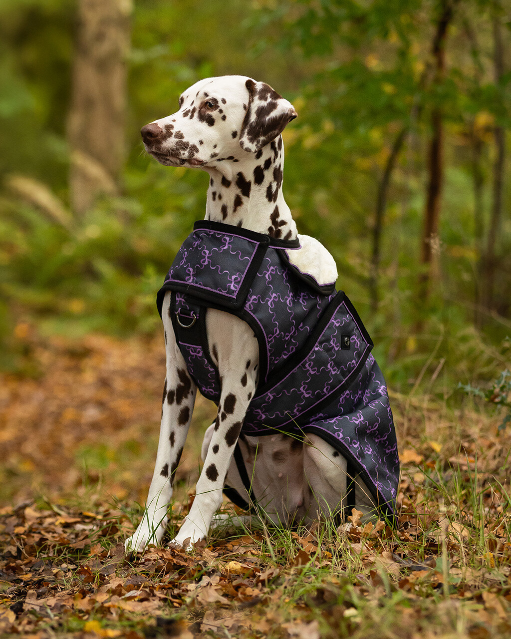 Hundedecke Turnout 1200D Collection