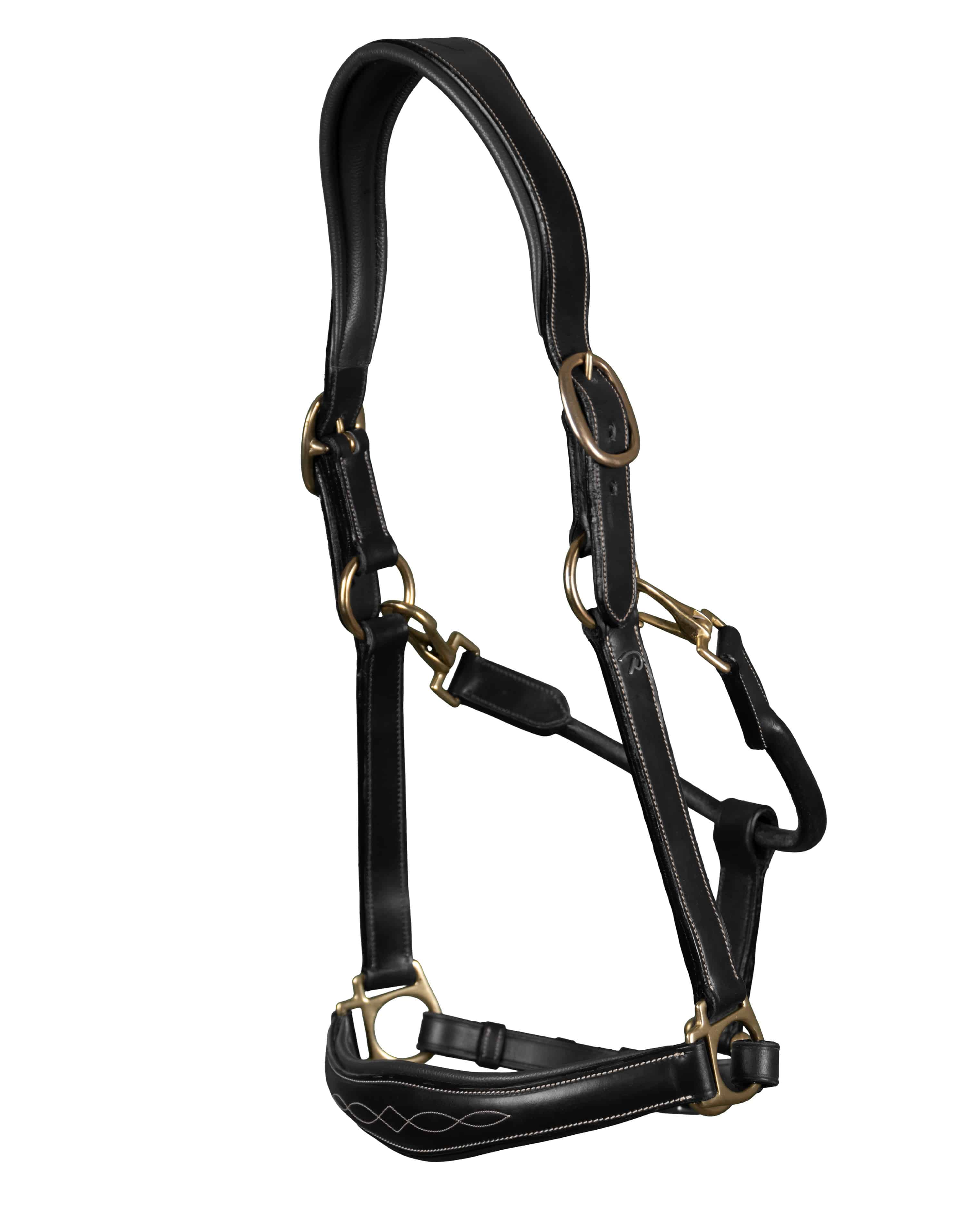 Halter 2-in-1 transport & stable