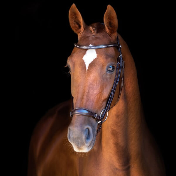 Copenhagen bridle in black/silver