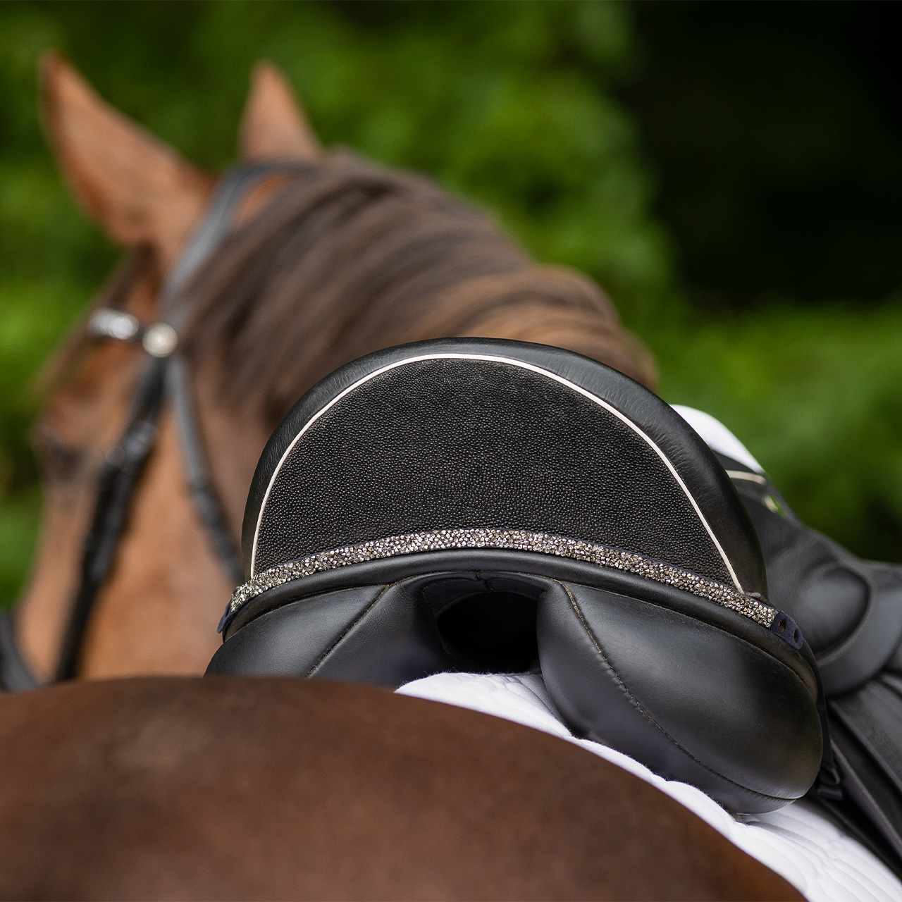 Saddle jewellery Lupine
