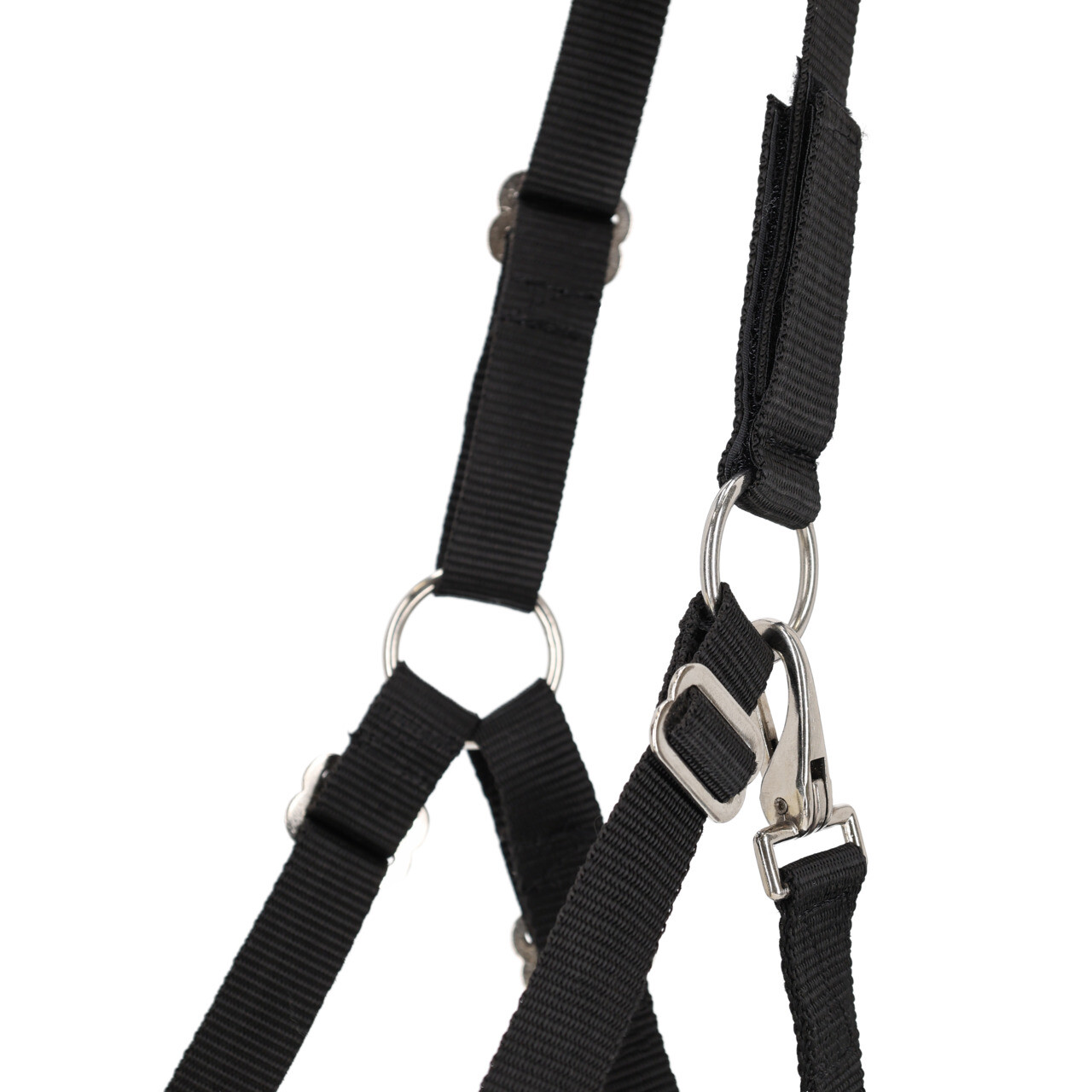 Beweidungsmaske Pelz und Nasenlöchern