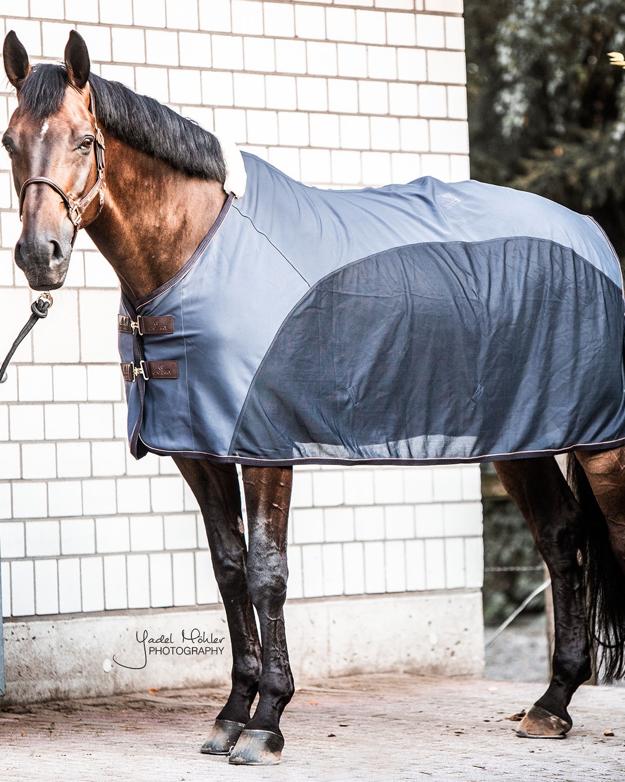 Softshell sweat rug