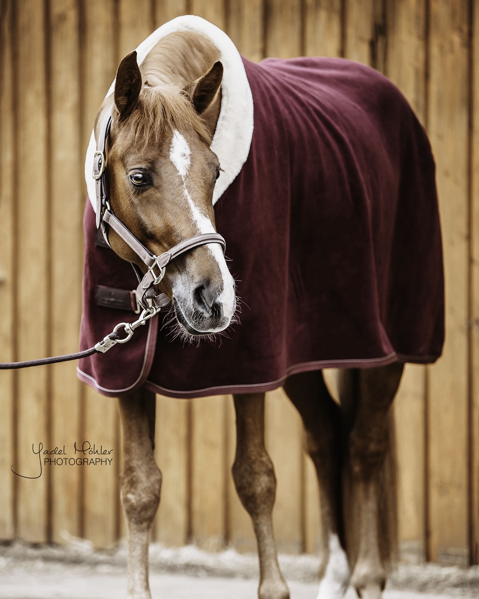 Fleece Show Heavy sweat rug