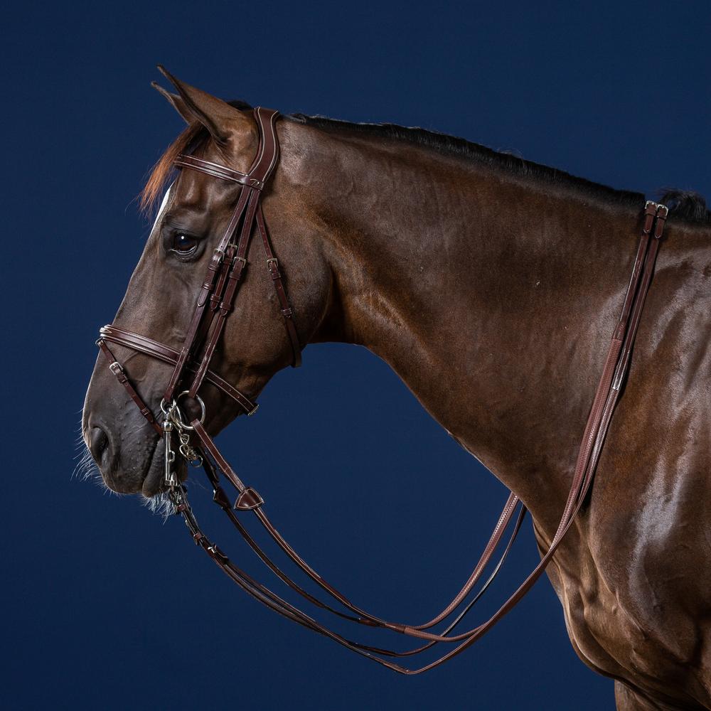 Kandare mit kombiniertem Reithalfter