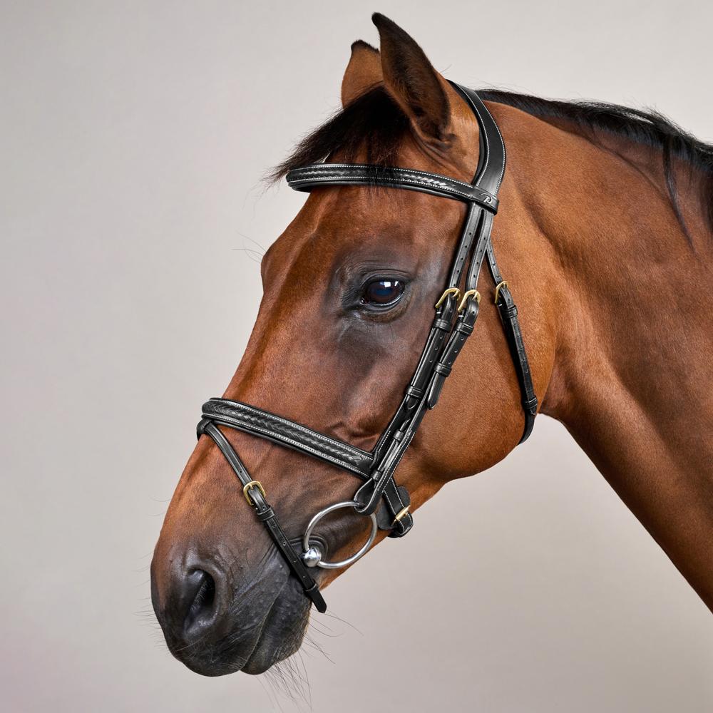 Geflochtene Trense mit kombiniertem Reithalfter DY | Dy'on