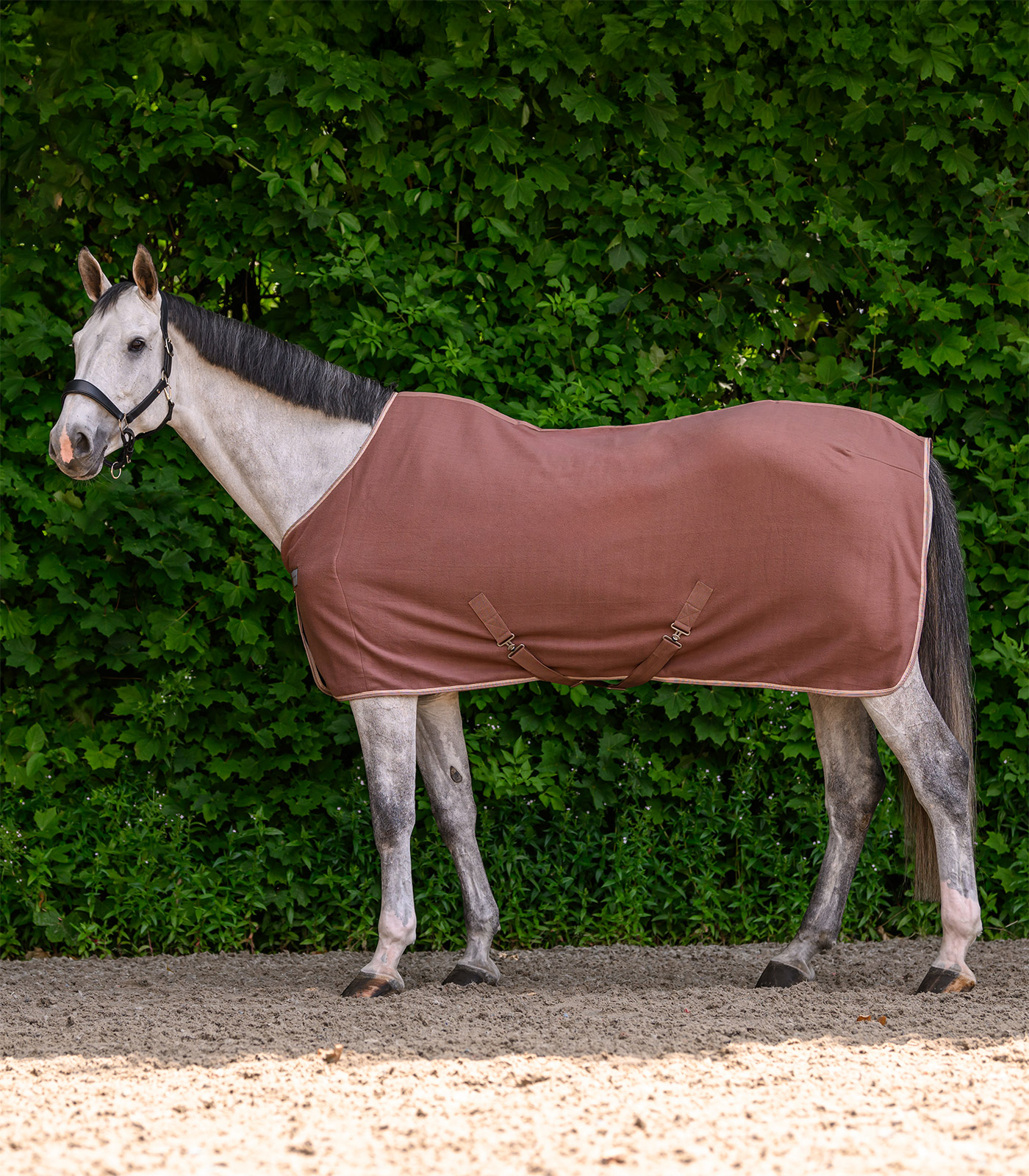 ECONOMIC Fleece rug w. cross surcingles, black