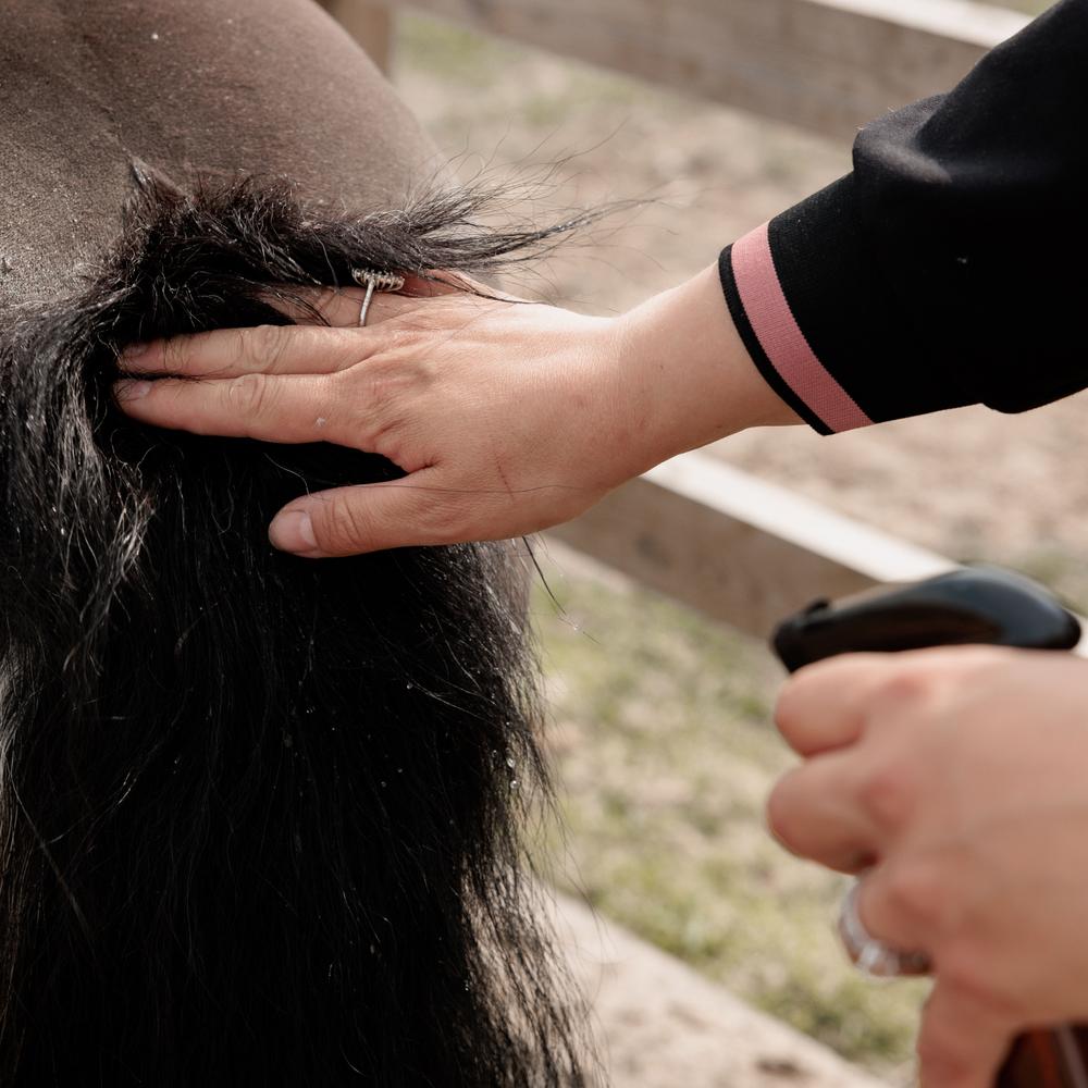 Itch Stop Plus