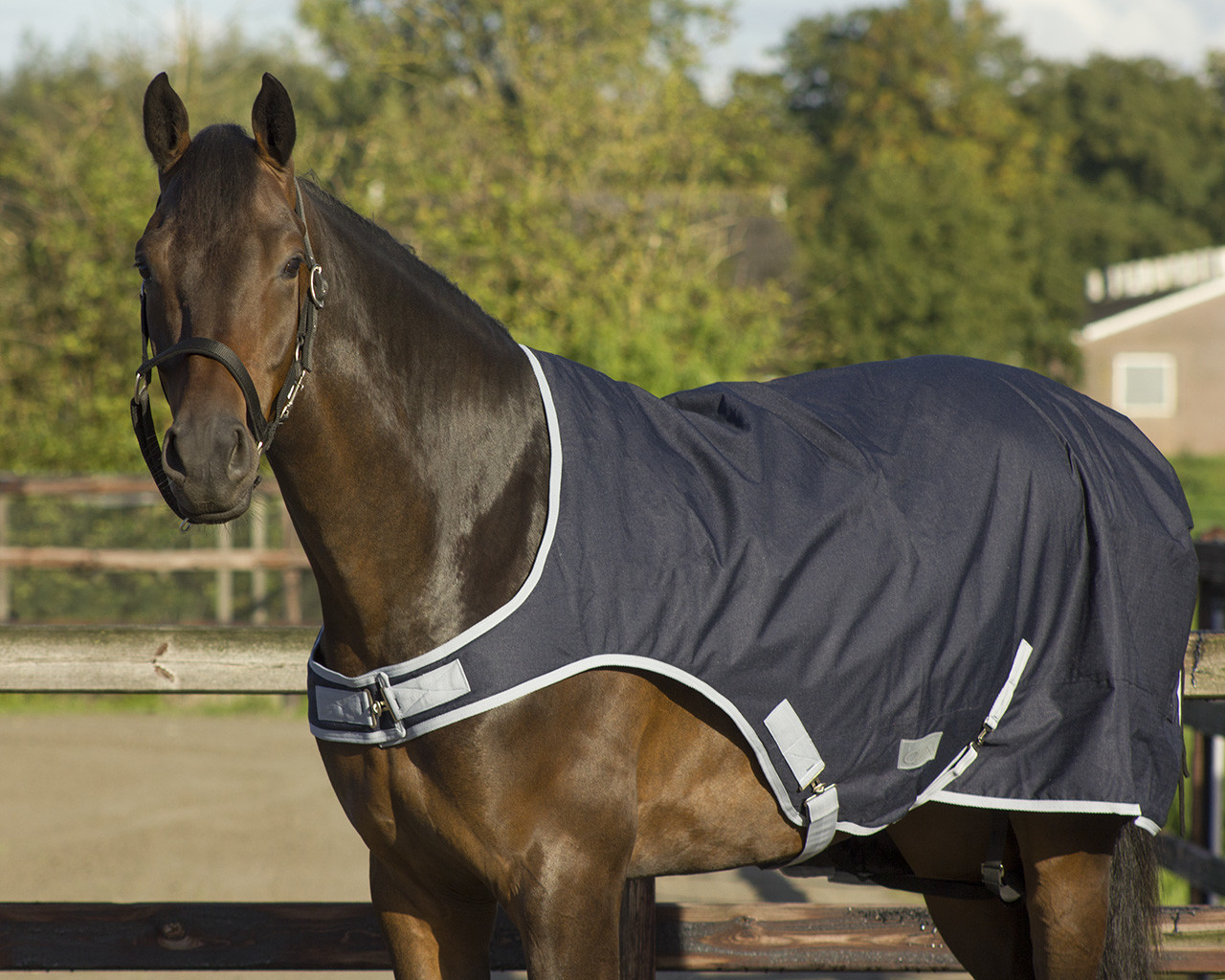 Horse walker blanket waterproof 200gr